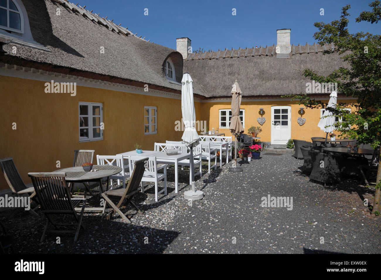 Una delle affascinanti caffetterie in questo ambiente accogliente piccolo borgo di pescatori Kikhavn sulla costa ruvida 2 km a est di Hundested, Danimarca Foto Stock