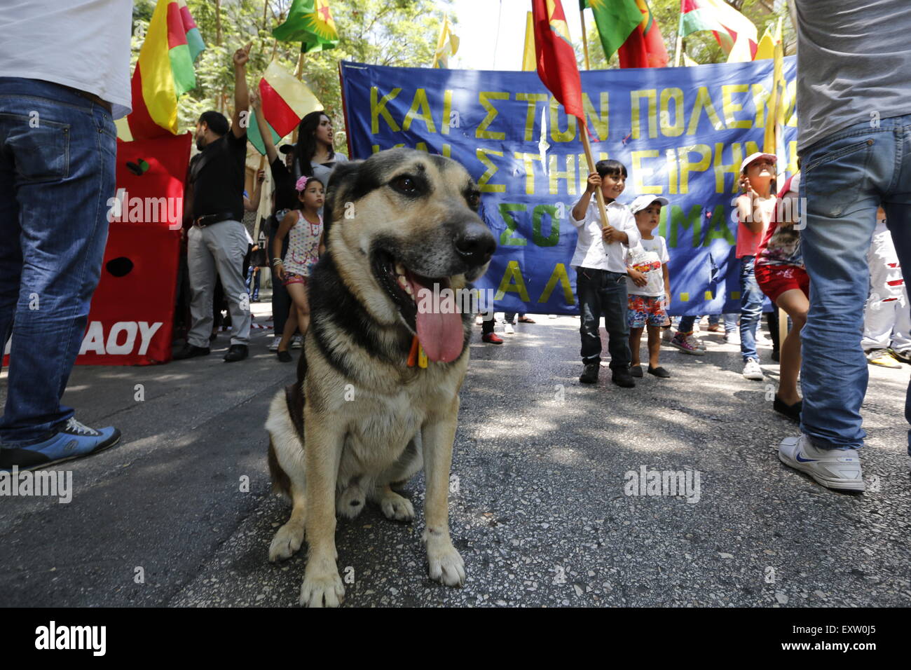 Atene, Grecia. 16 Luglio, 2015. Un cane randagio ha seguito il Abdullah Ocalan solidarietà protesta ad Atene e ora siede di fronte alla protesta come si è fermato nella parte anteriore del blocco stradale da parte della polizia. Popolazione curda che vivono in "Grecia, hanno marciato per l'Ambasciata turca, chiamando per un rilascio del leader del Partito dei Lavoratori del Kurdistan) PKK, che è attualmente in carcere in Turchia. © Michael Debets/Pacific Press/Alamy Live News Foto Stock
