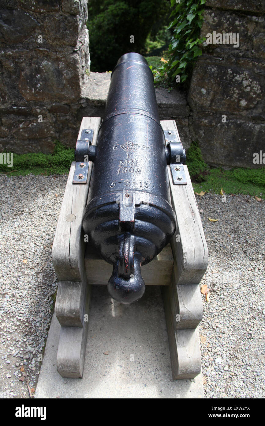 Uno dei cannoni datata 1808 che circondano la torre Pepperpot in corrispondenza al Powerscourt Estate in Irlanda Foto Stock