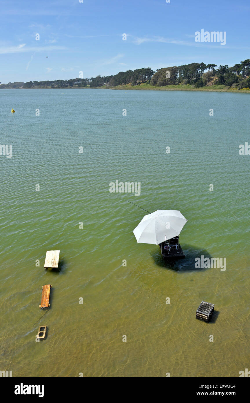 Lago di pesca Merced, San Francisco Foto Stock