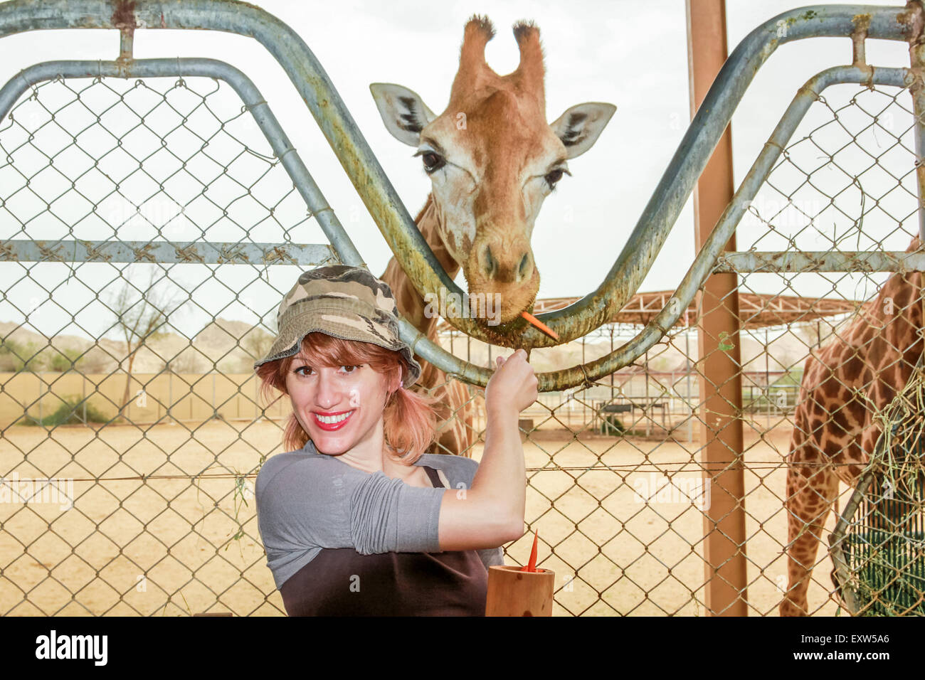 Donna giraffa di alimentazione Foto Stock