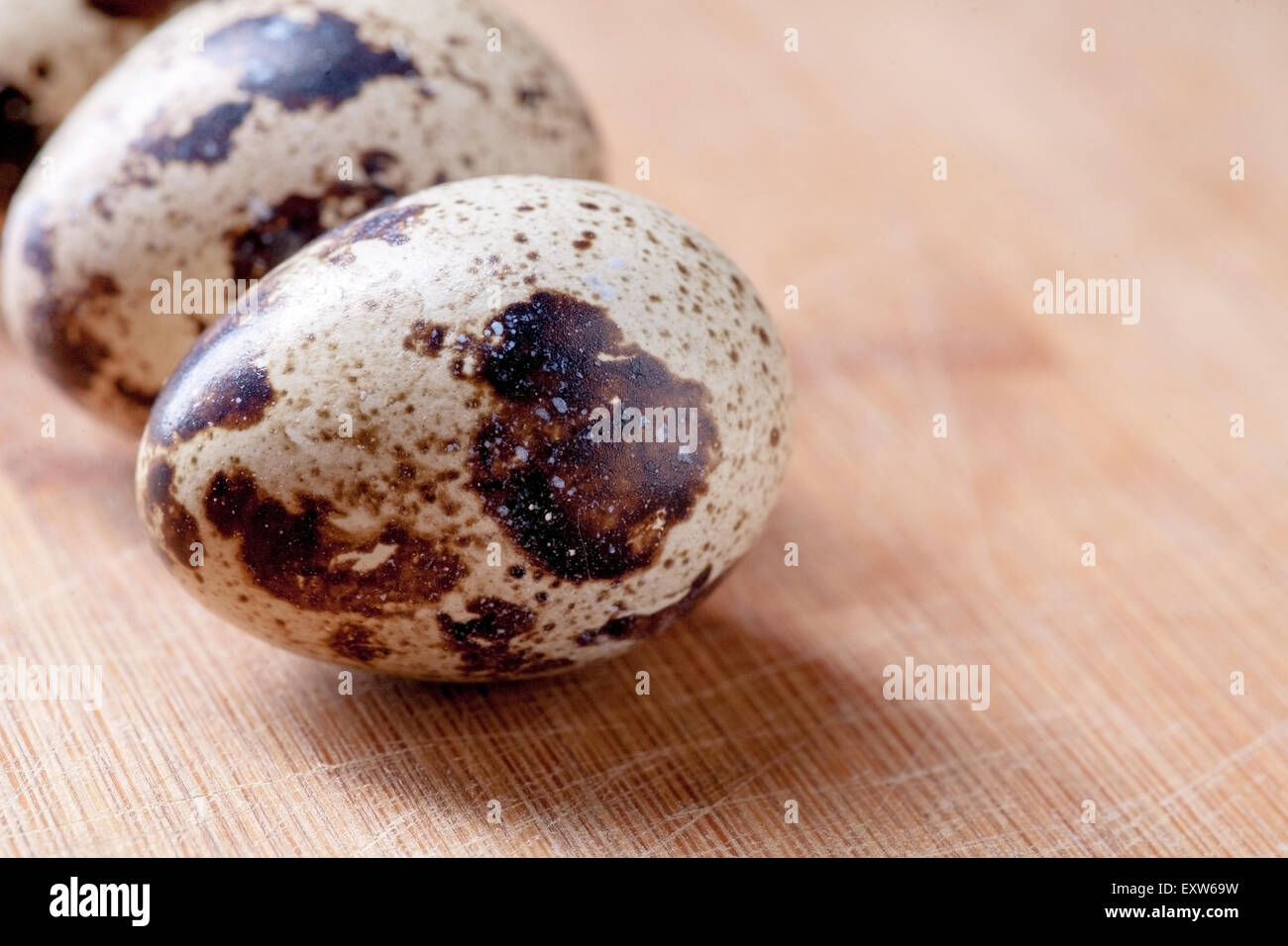 Macro di spotted uova di quaglia sul piatto di legno, immagine con copyspace Foto Stock