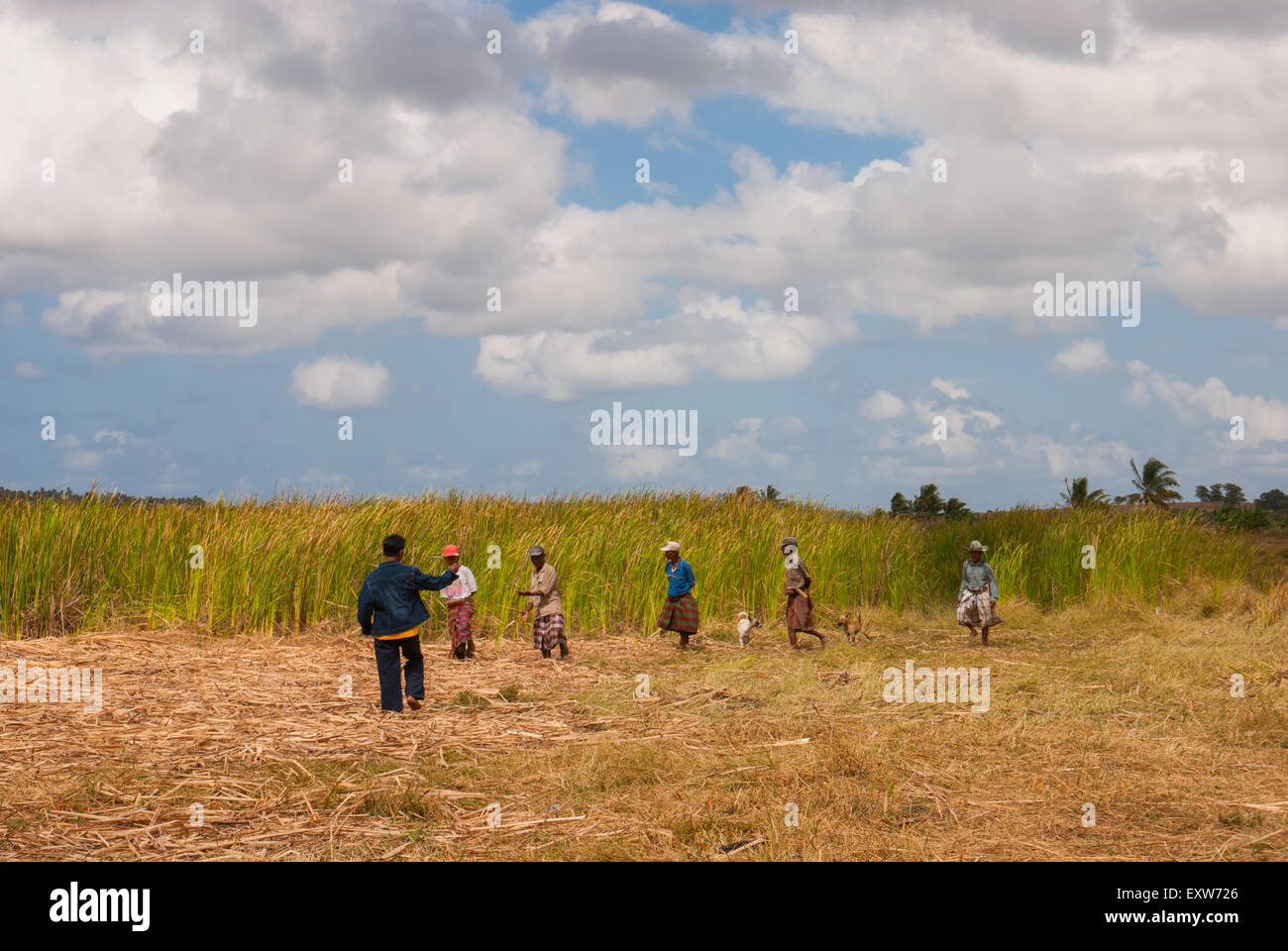 Un membro del comitato organizzatore sta dirigendo gli abitanti del villaggio a prendere un percorso diverso mentre stanno provando a guardare un evento cerimoniale in Indonesia. Foto Stock