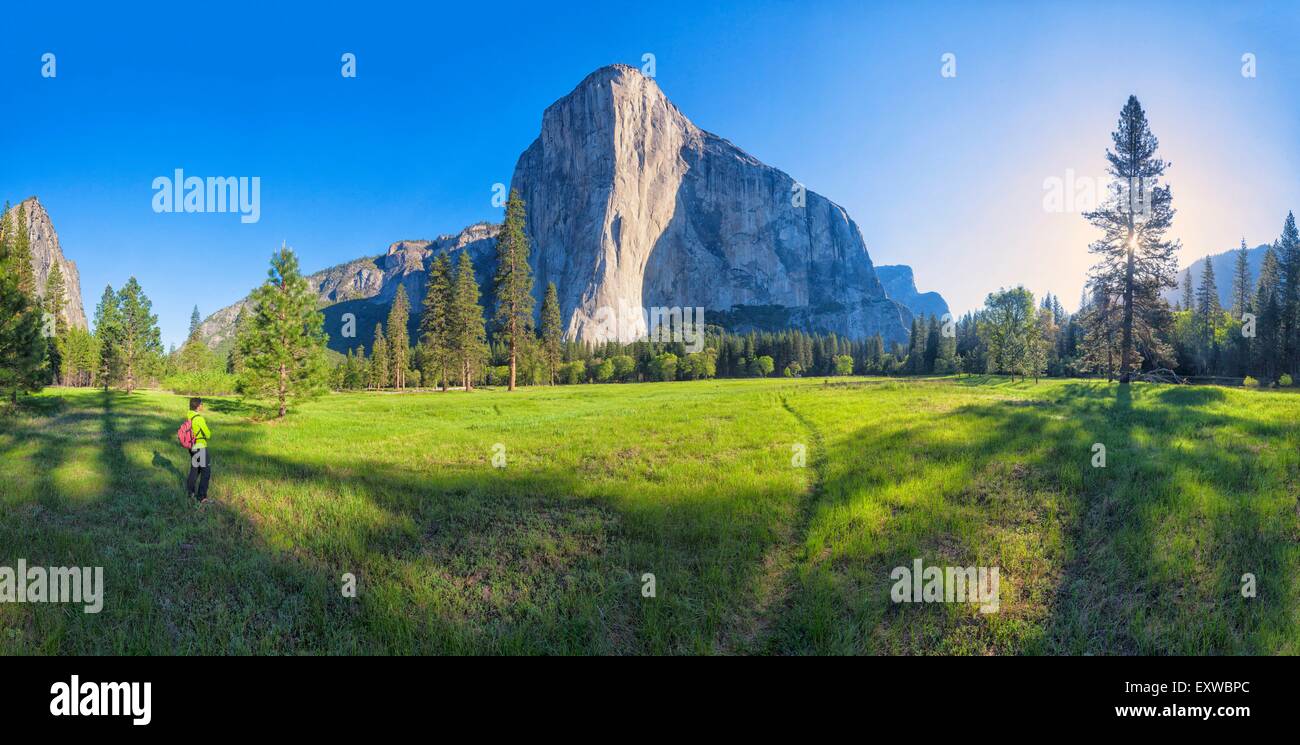 Donna sul prato di El Capitan, Yosemite National Park, California, Stati Uniti d'America Foto Stock