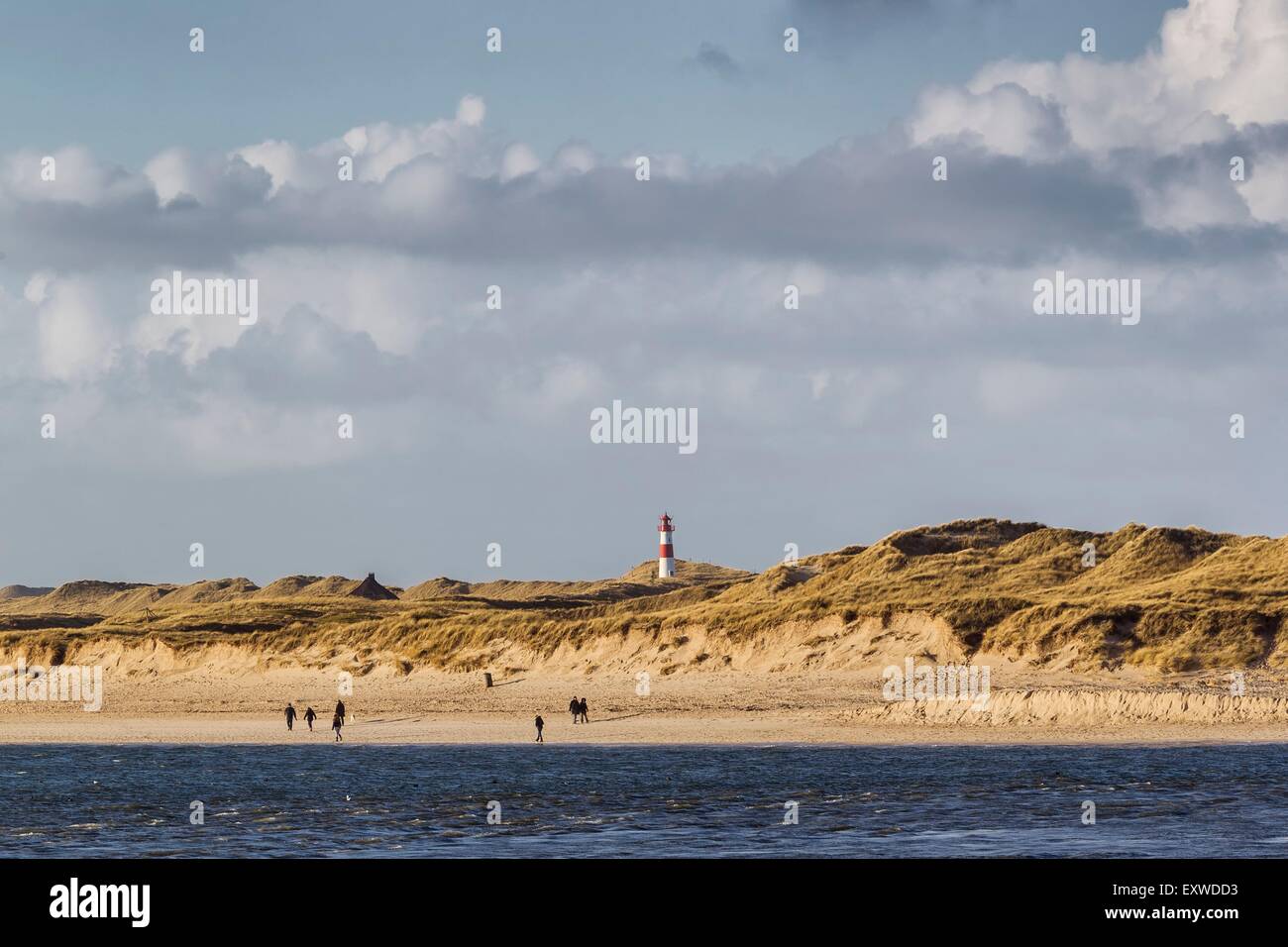 Faro di Ellenbogen su isola di Sylt, Schleswig-Holstein, Germania Foto Stock