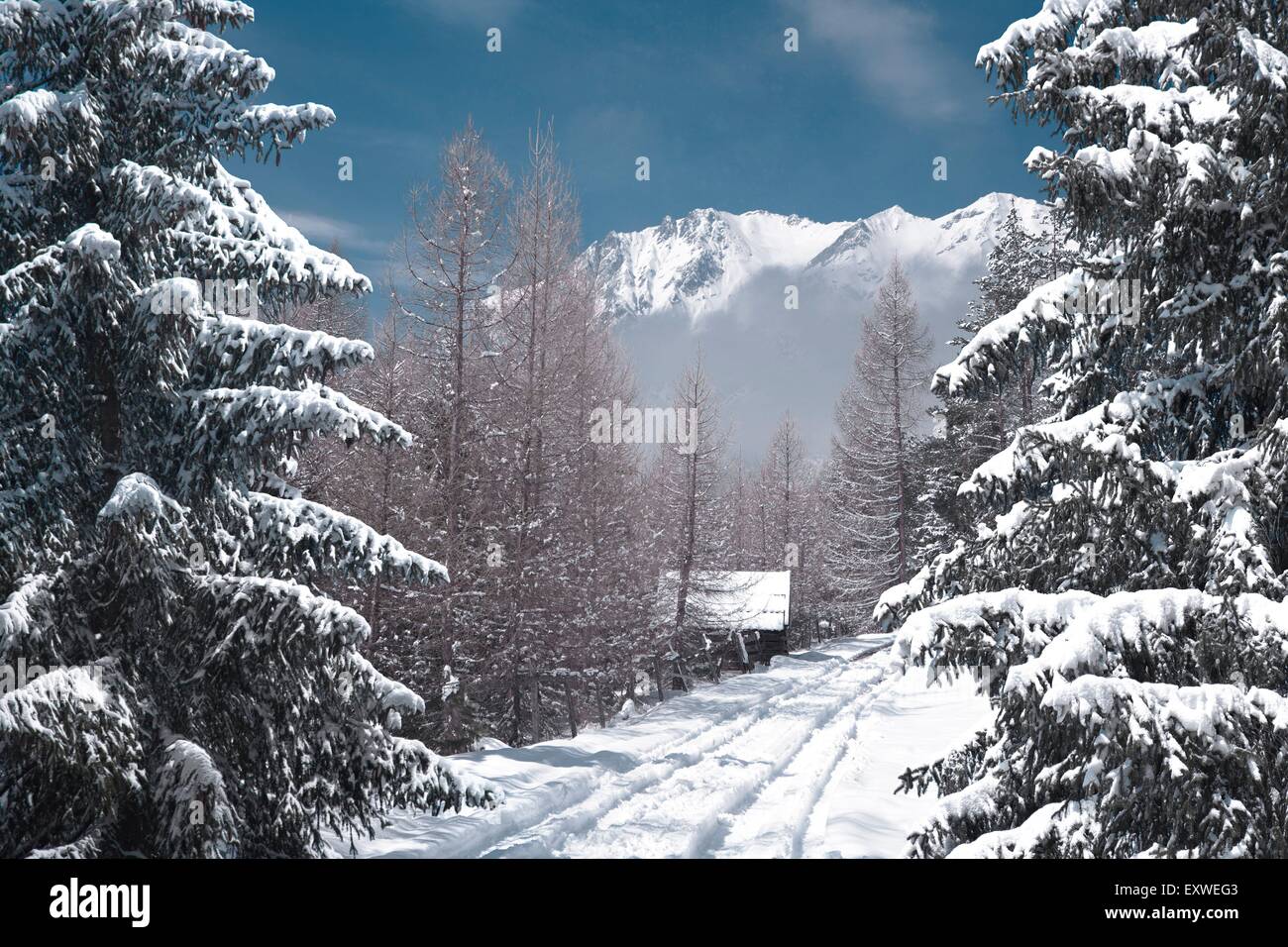 Paesaggio invernale a Mieminger Plateau, Tirolo, Austria Foto Stock