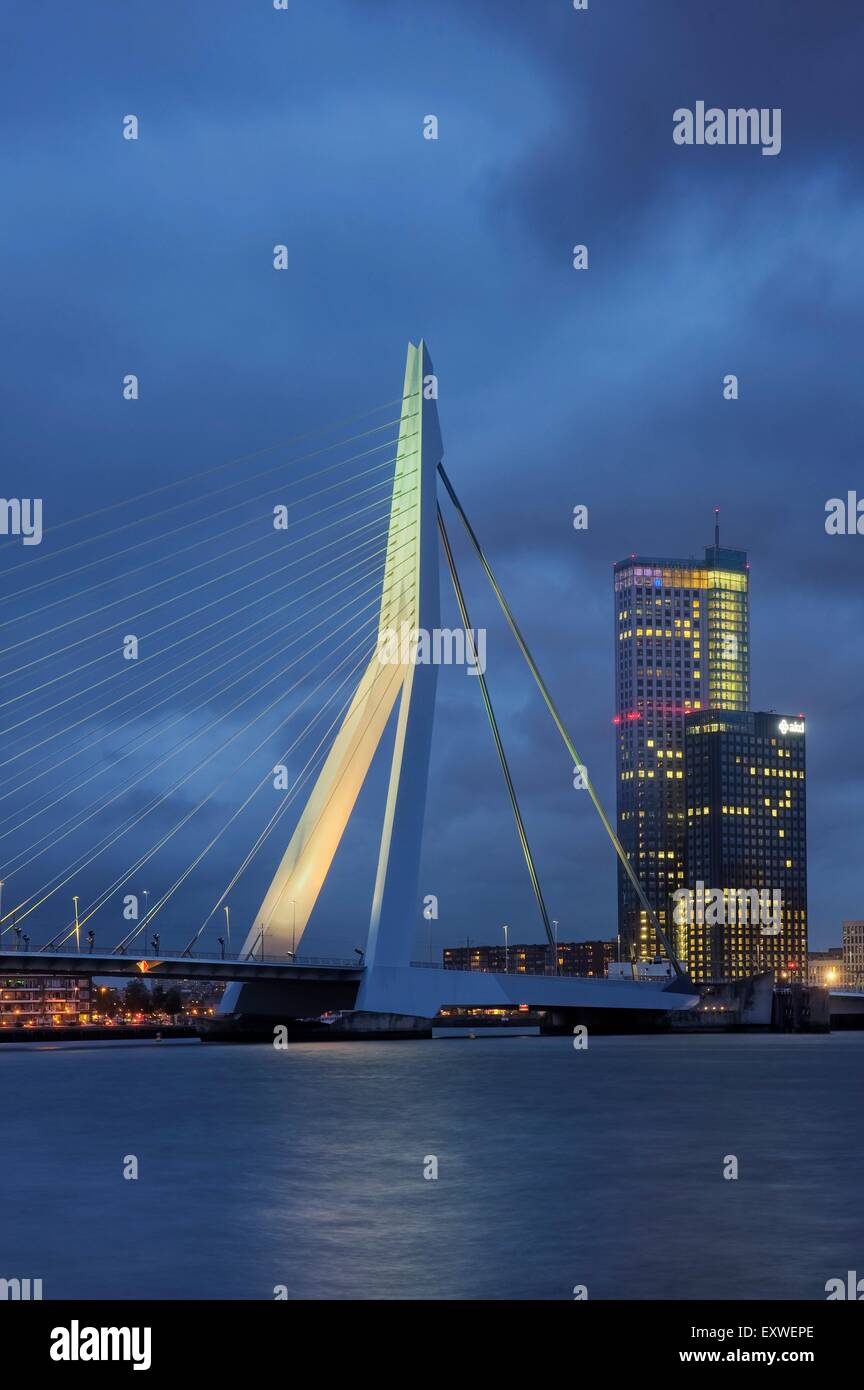 Erasmusbrug, Rotterdam, Paesi Bassi Foto Stock