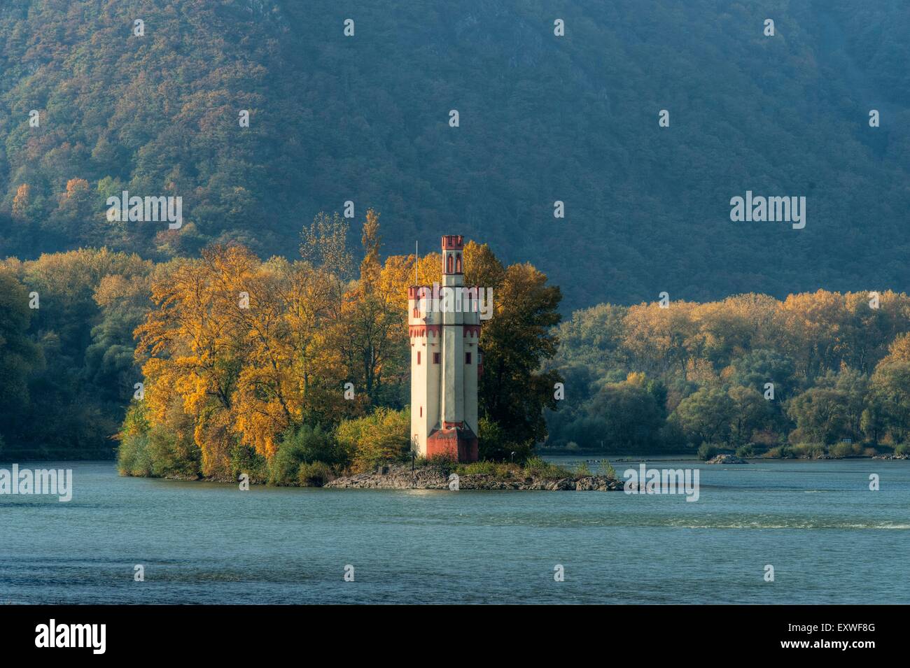 Il fiume Reno con torre del Mouse vicino a Bingen, Renania-Palatinato, Germania Foto Stock