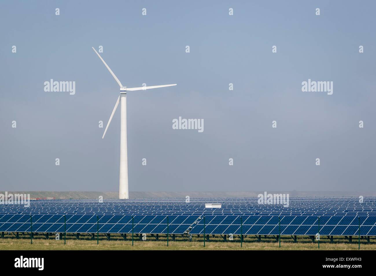 Windpark, Dithmarschen, Schleswig-Holstein, Germania, Europa Foto Stock