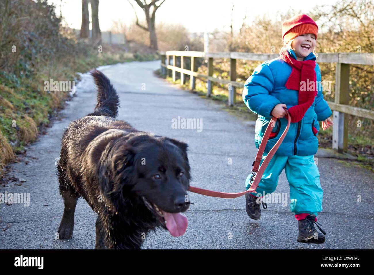 Ragazza di andare walkies con un labrador Foto Stock