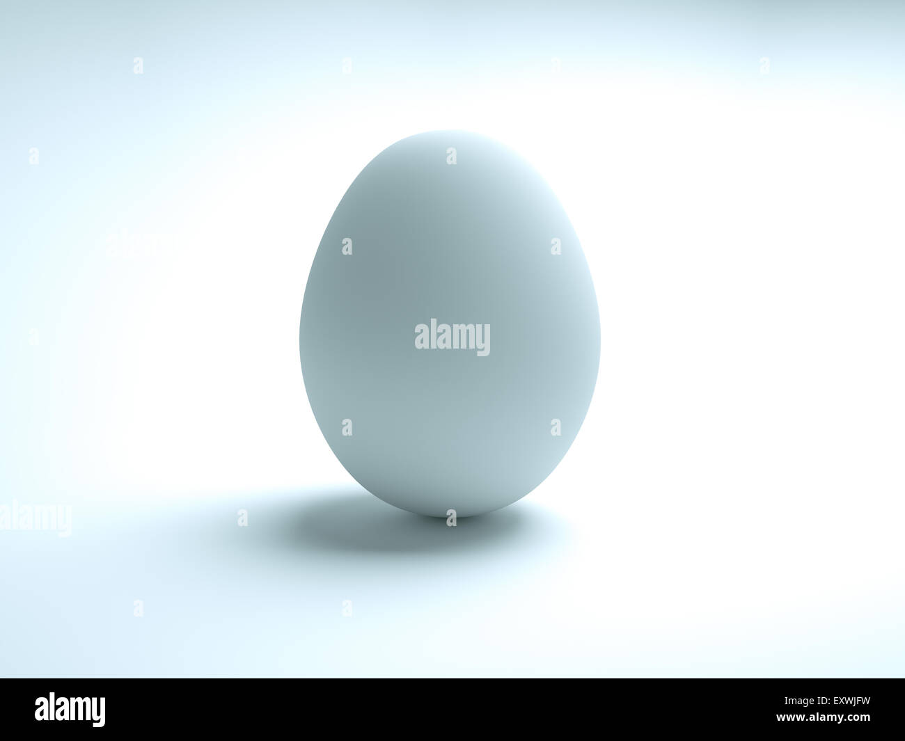 Alta risoluzione uovo bianco Foto Stock