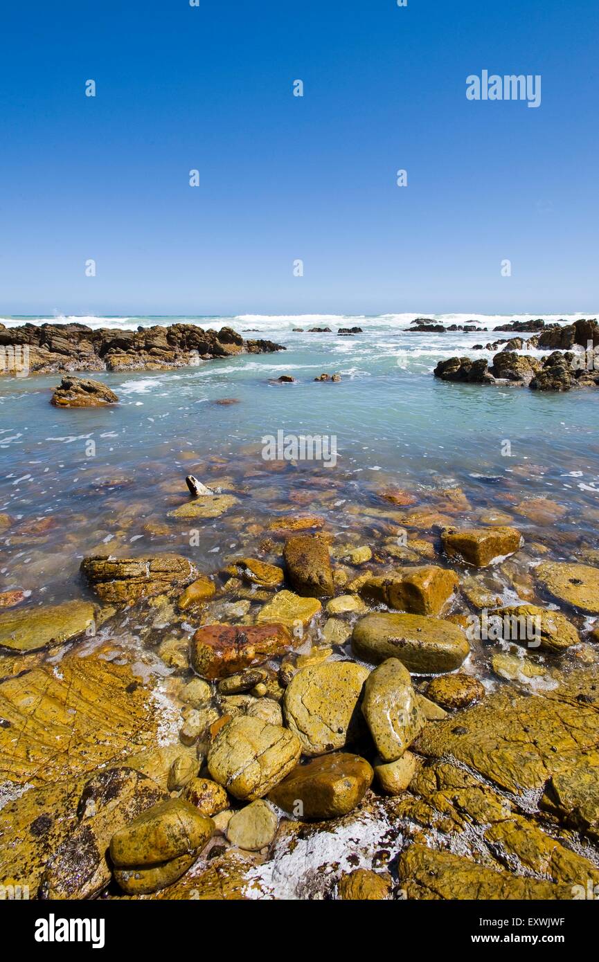 Rock costa a Cape Agulhas, Sud Africa Foto Stock