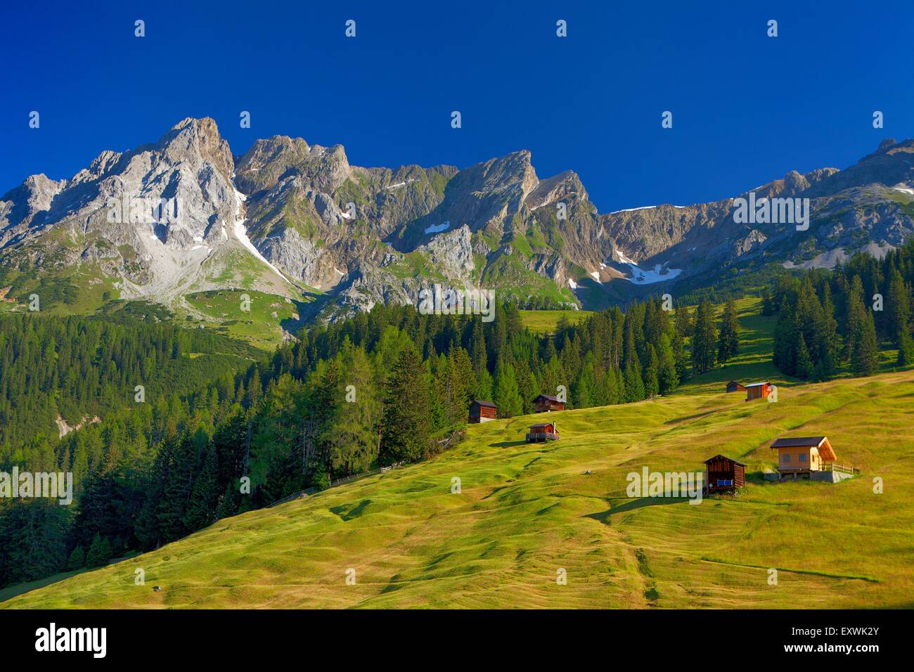 Pascolo alpino a Arlberg, Tirolo, Austria Foto Stock