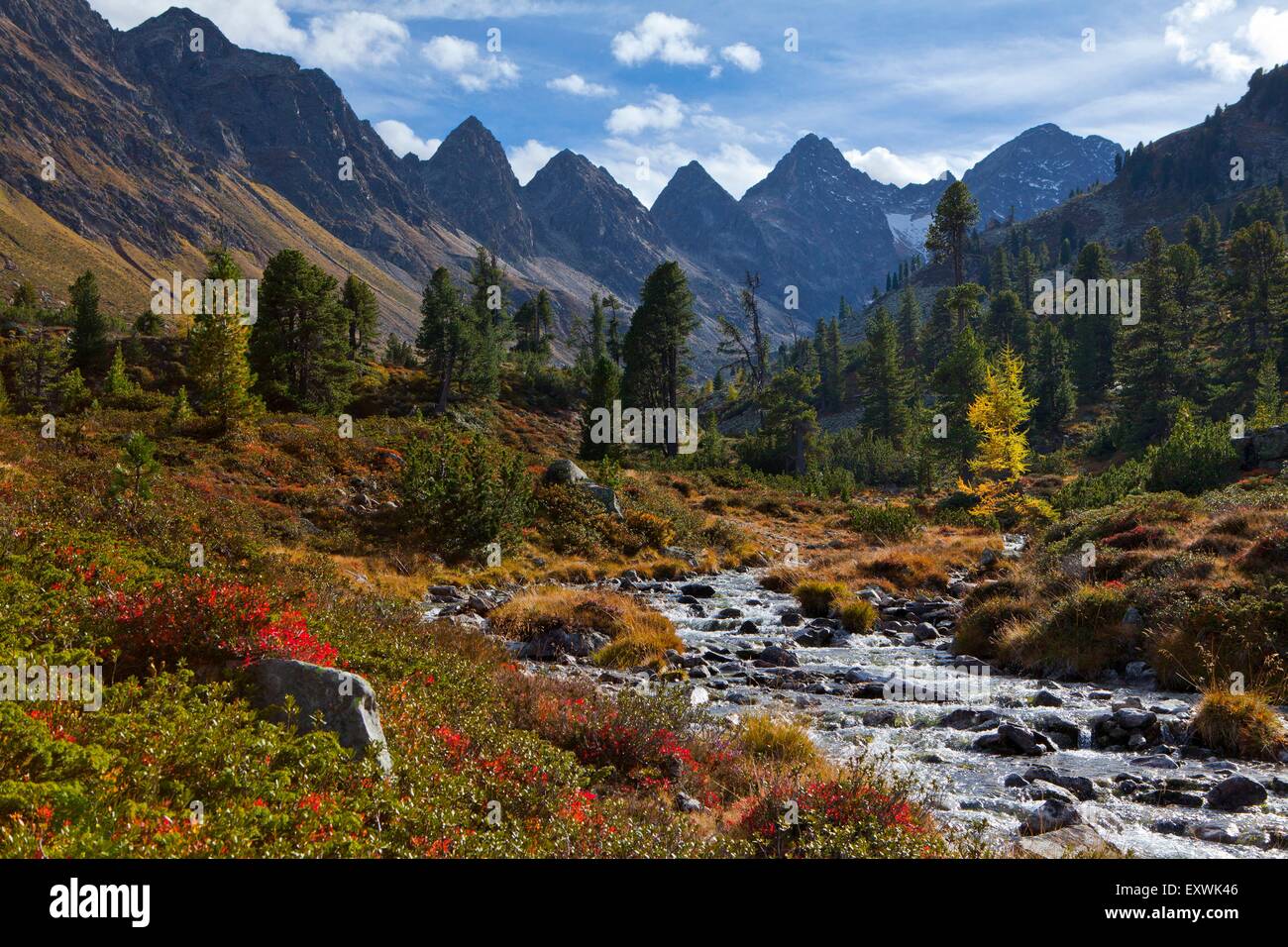 Ruscello di montagna nelle Alpi dello Stubai, Tirolo, Austria Foto Stock