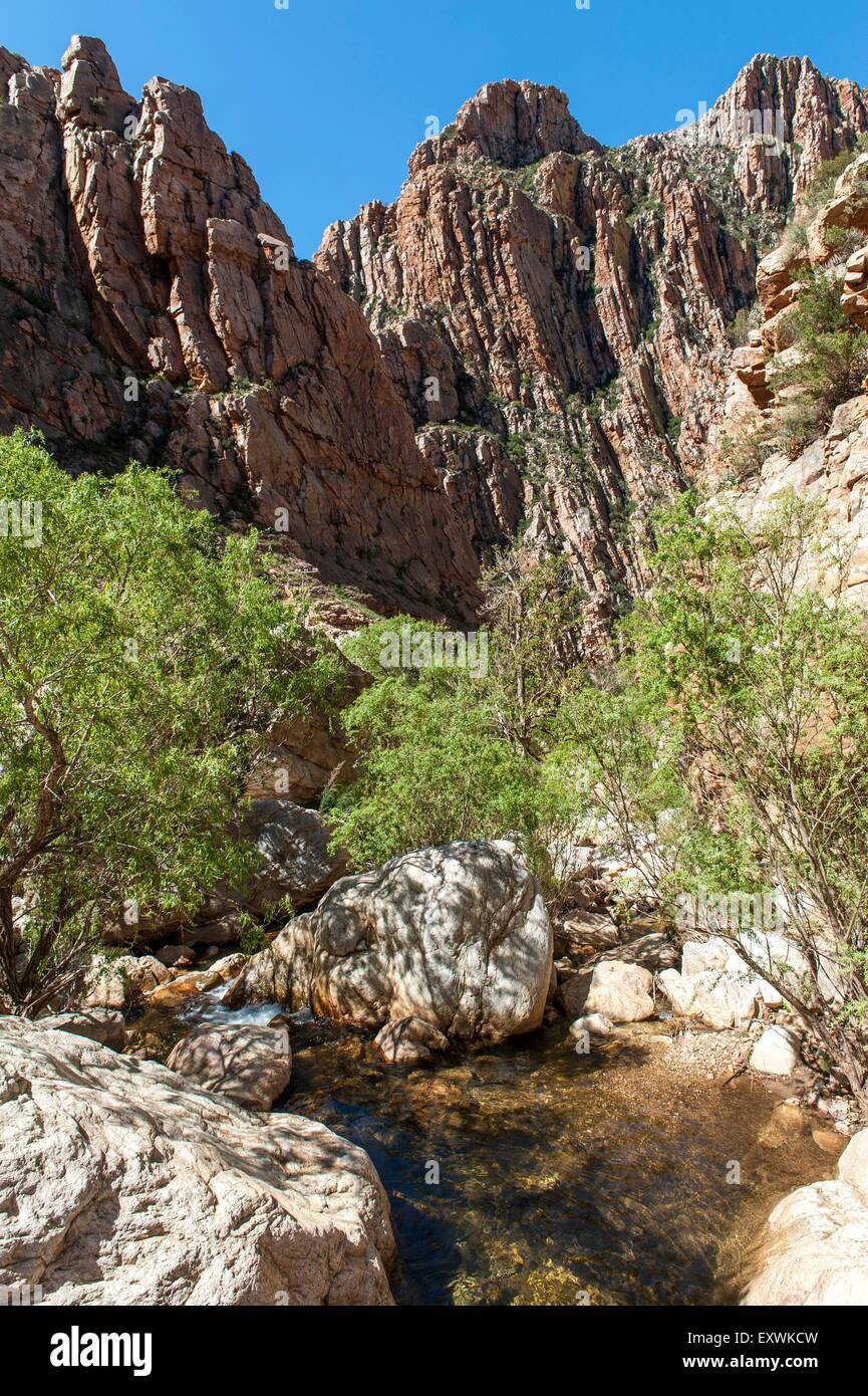 Rocce di piegatura nelle montagne Swartberg, Western Cape, Sud Africa Foto Stock