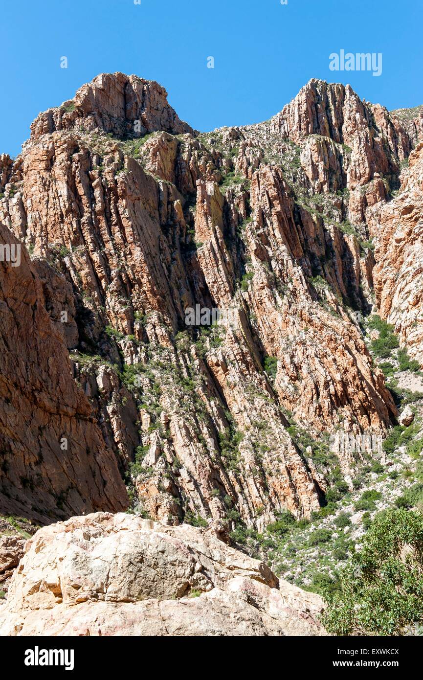 Rocce di piegatura nelle montagne Swartberg, Western Cape, Sud Africa Foto Stock