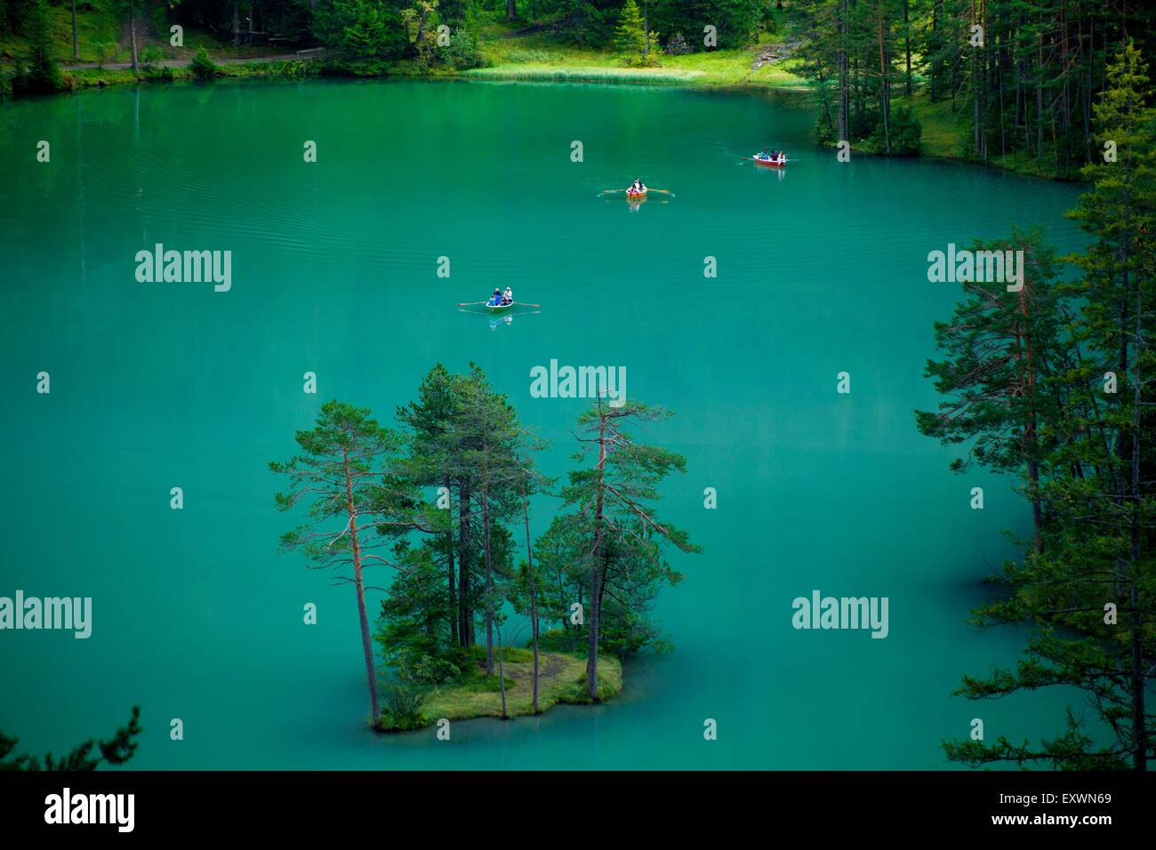 Alberi di pino in Fernsteinsee, Nassereith, Tirolo, Austria Foto Stock