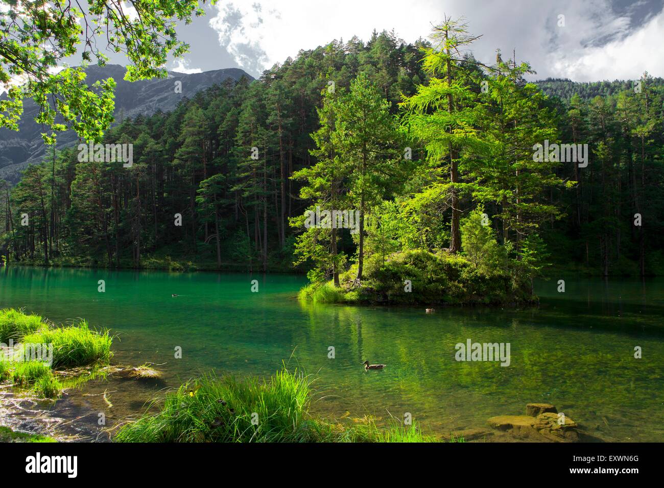 Fernsteinsee, Tirolo, Austria Foto Stock