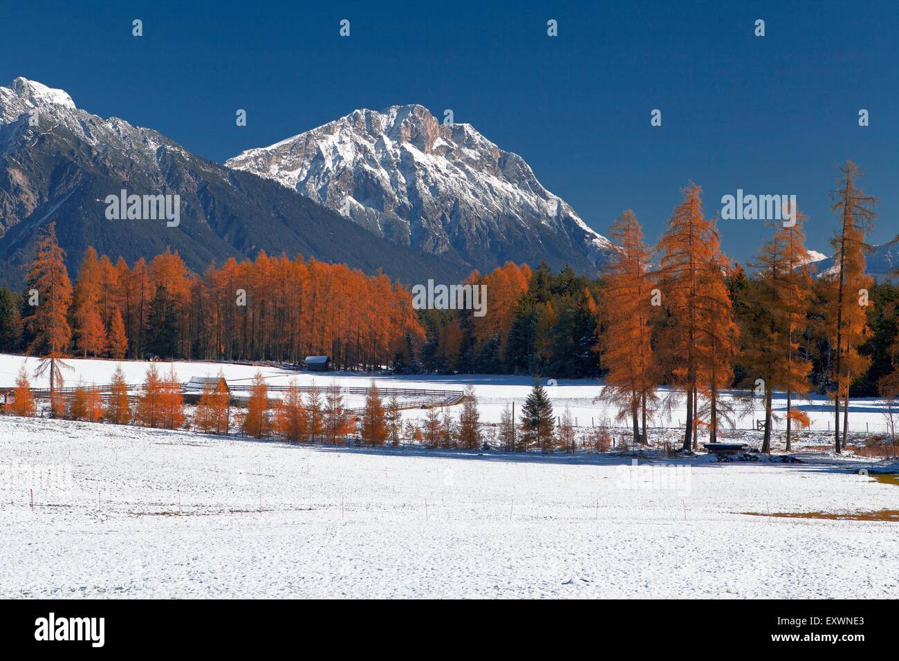 Schnee am Mieminger Plateau, Tirol Österreich Foto Stock