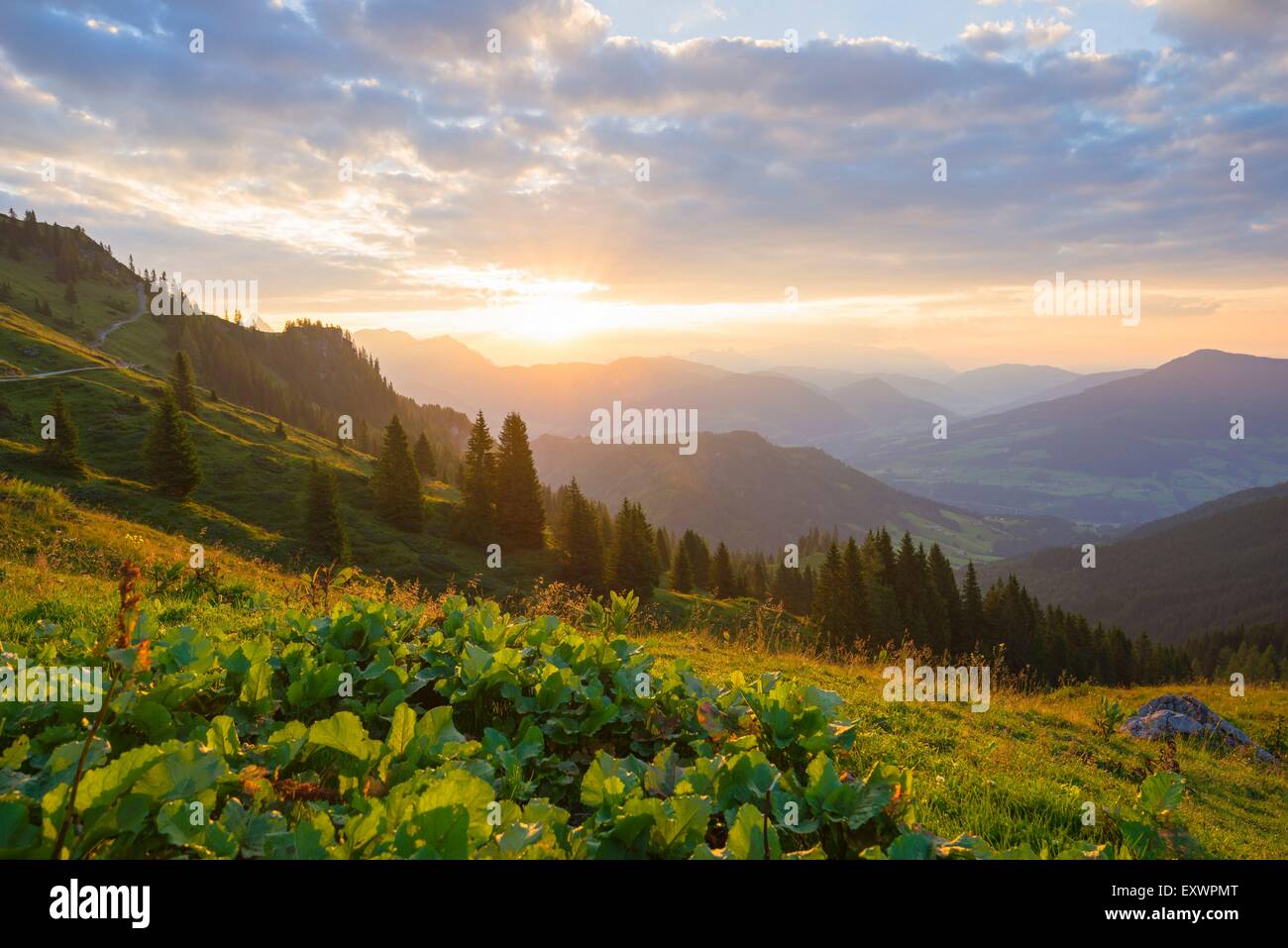 Vista da sopra Hochkoenig Salzachtal, Radstaedter e Schladminger Tauern, Salzburger Land Austria, Europa Foto Stock