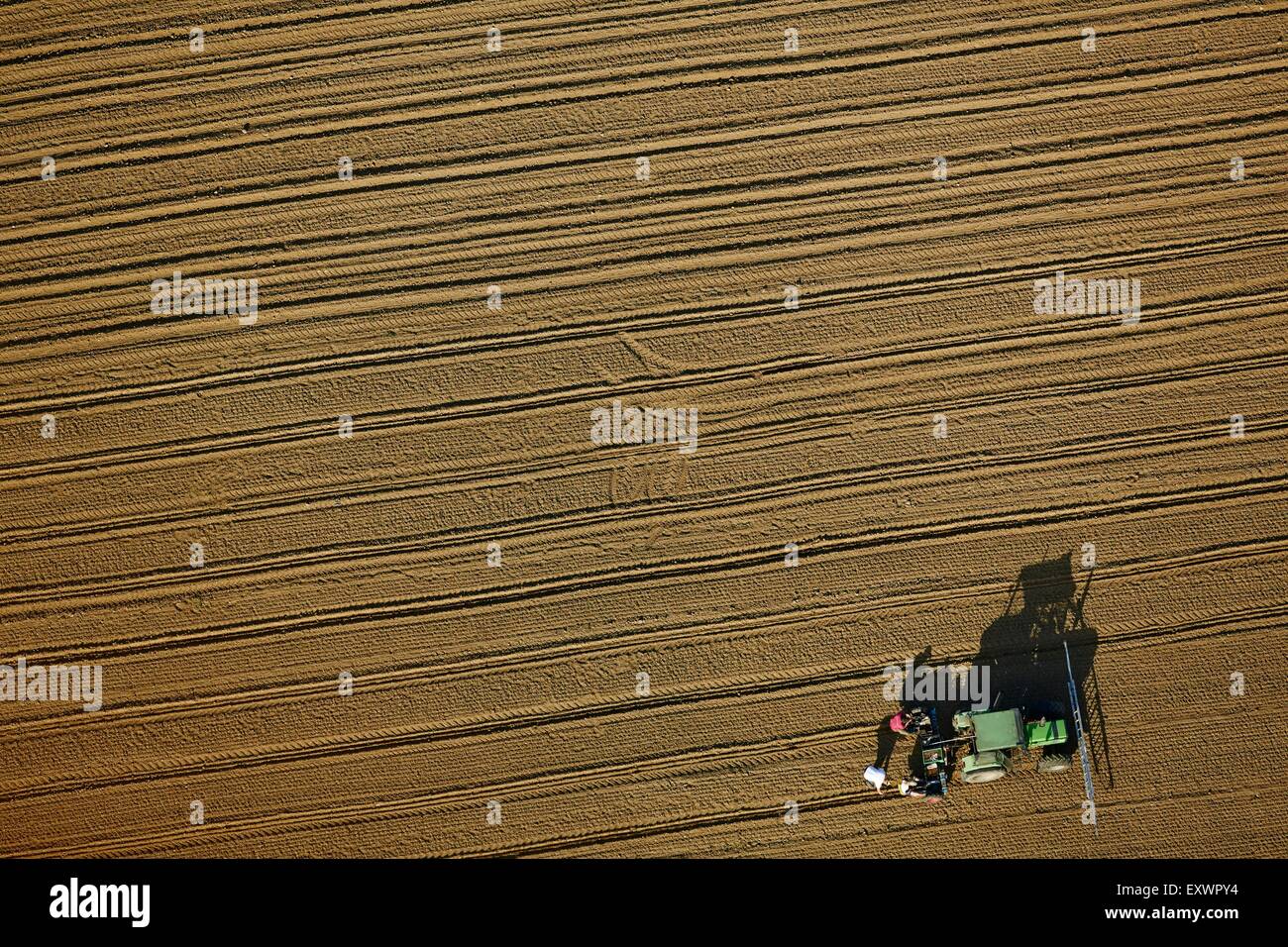 Semina su campo, Baden-Wuerttemberg, Germania, foto aeree Foto Stock