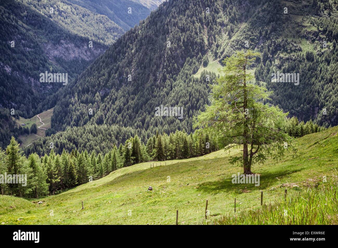 Paesaggio, Grossglockner Strada alpina, Austria, Europa Foto Stock