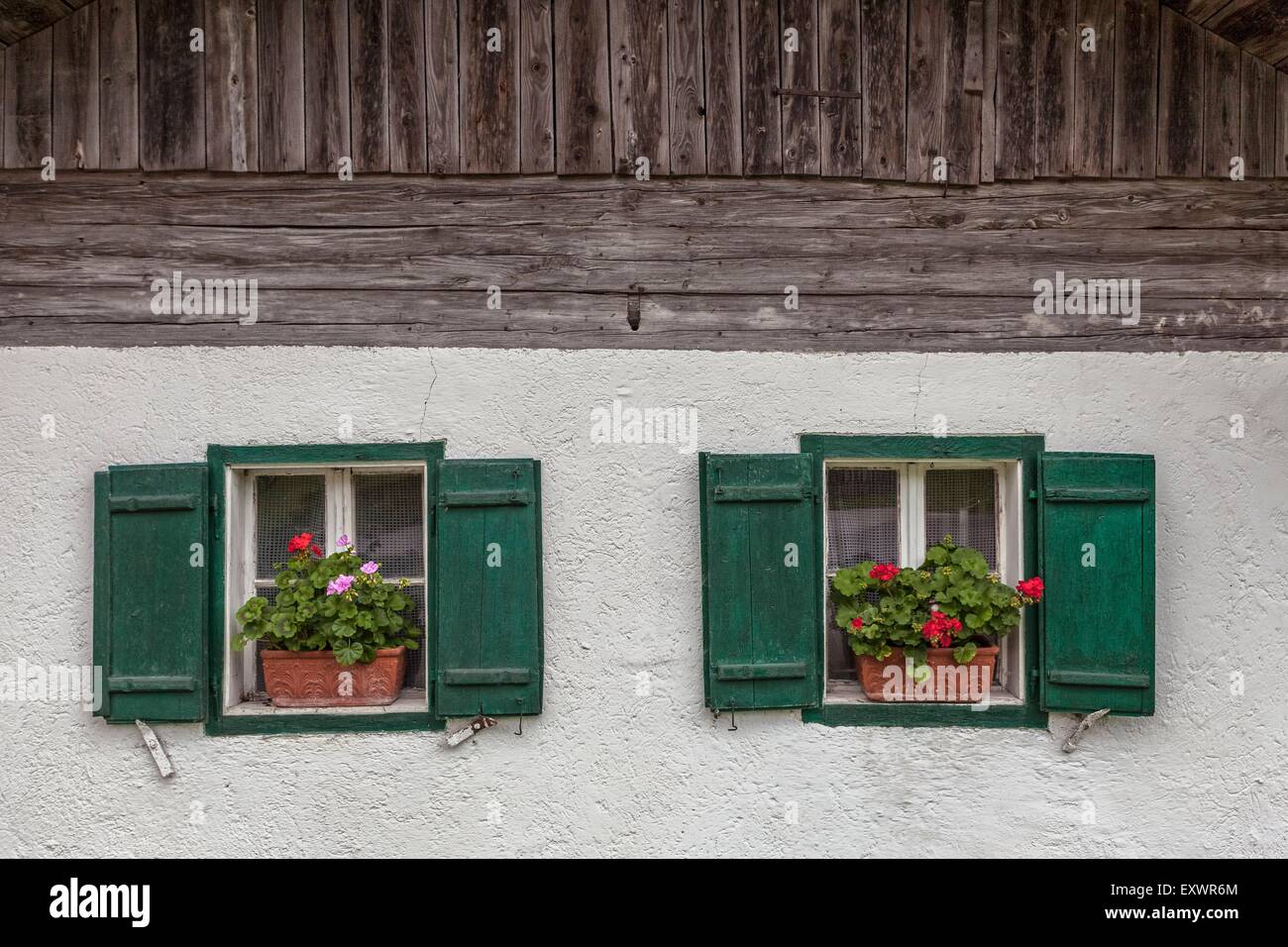 Le finestre di una casa colonica con scatole di finestra, Salzburger Land Austria, Europa Foto Stock