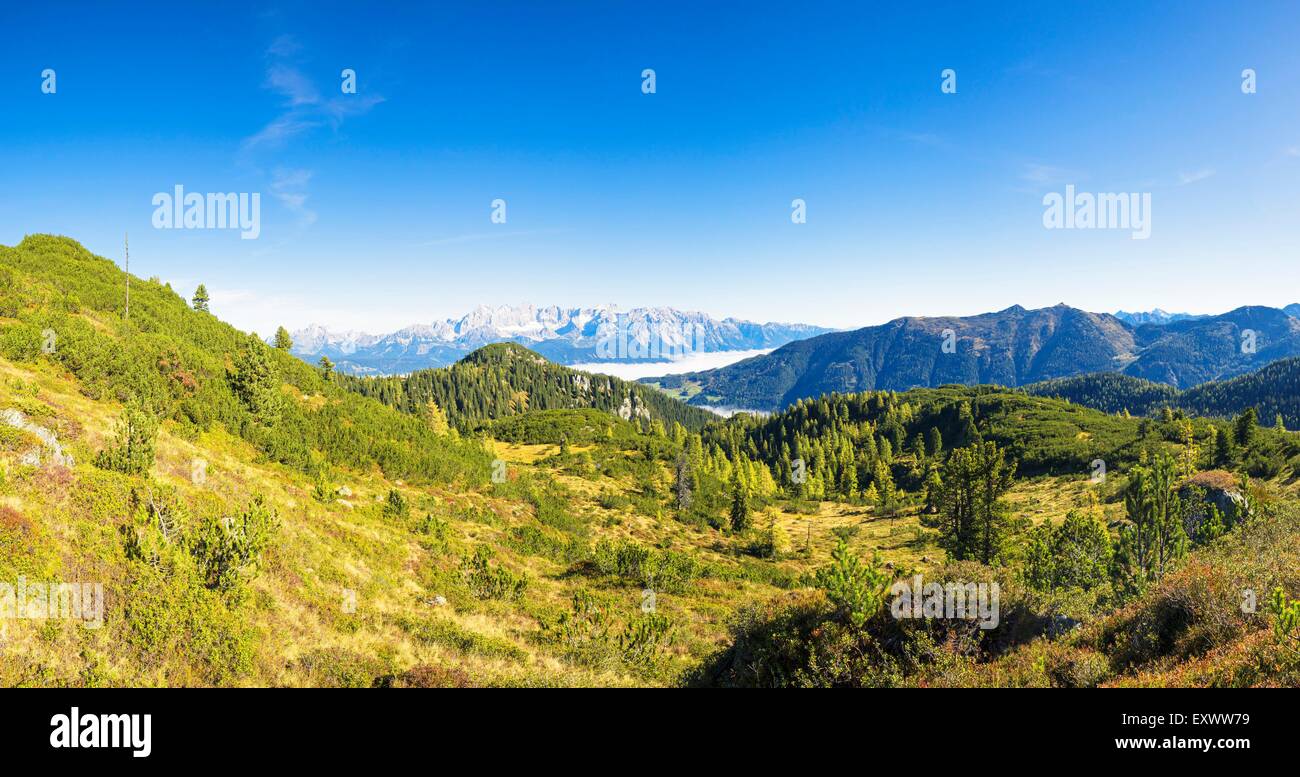 Foresta alpina in Schladminger Tauern sopra il Ennstal, Austria Foto Stock