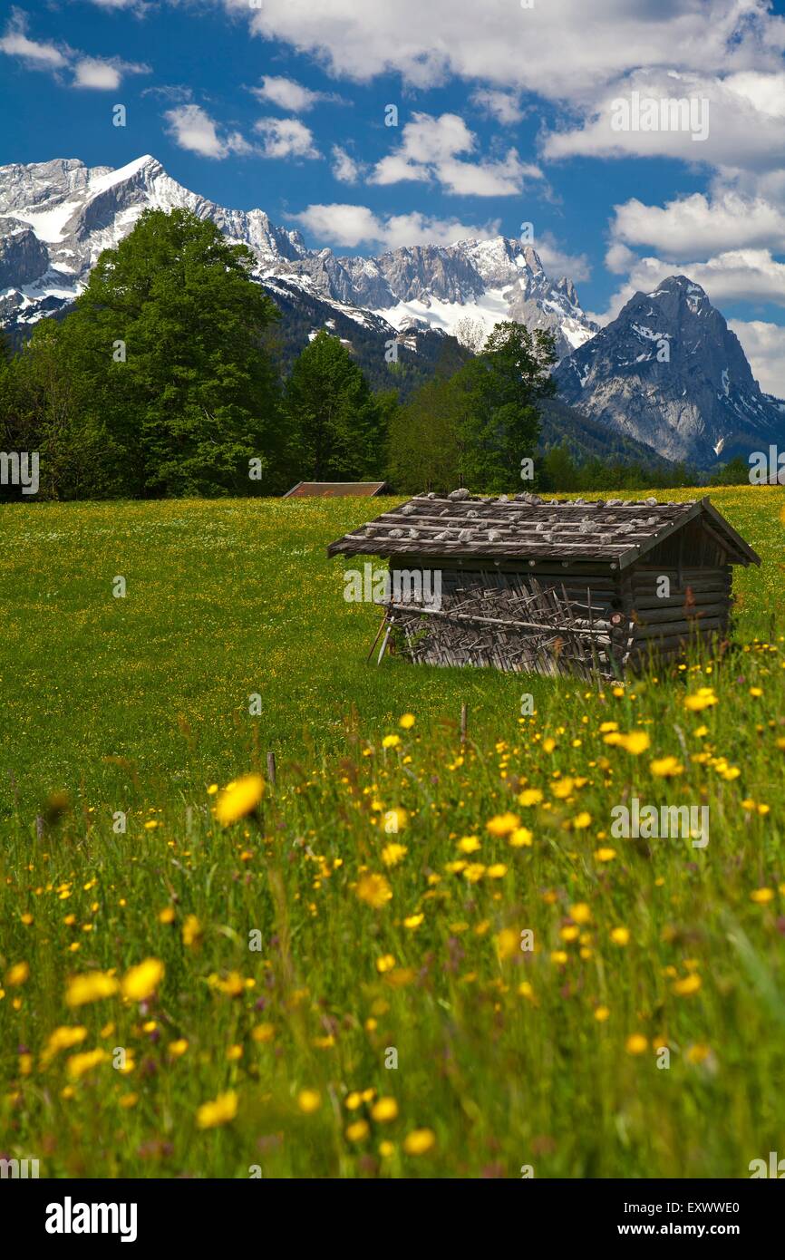Pfeiffer Alm, Alpspitze, Wettersteingebirge, Baviera, Germania, Europa Foto Stock