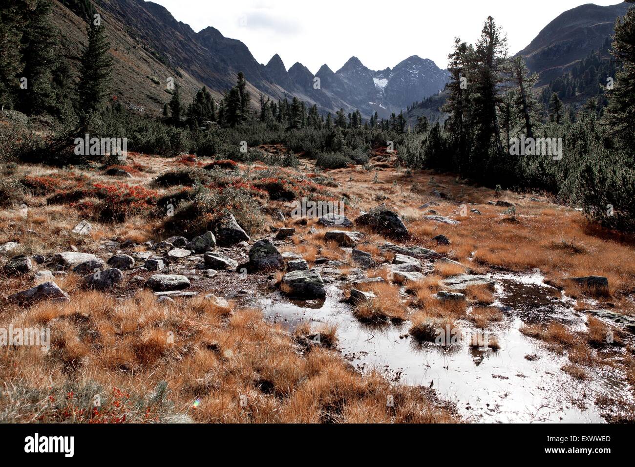 E Mittertal Mittertaler Tuerme, Tirolo, Austria, Europa Foto Stock