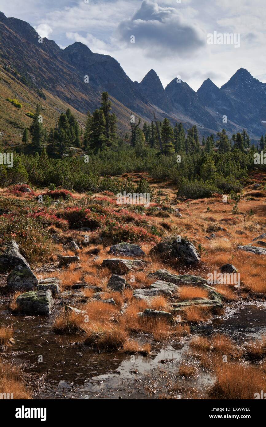 E Mittertal Mittertaler Tuerme, Tirolo, Austria, Europa Foto Stock