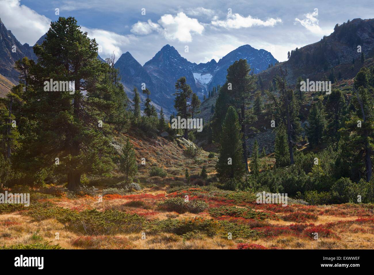 E Mittertal Mittertaler Tuerme, Alpi dello Stubai in Tirolo, Austria, Europa Foto Stock
