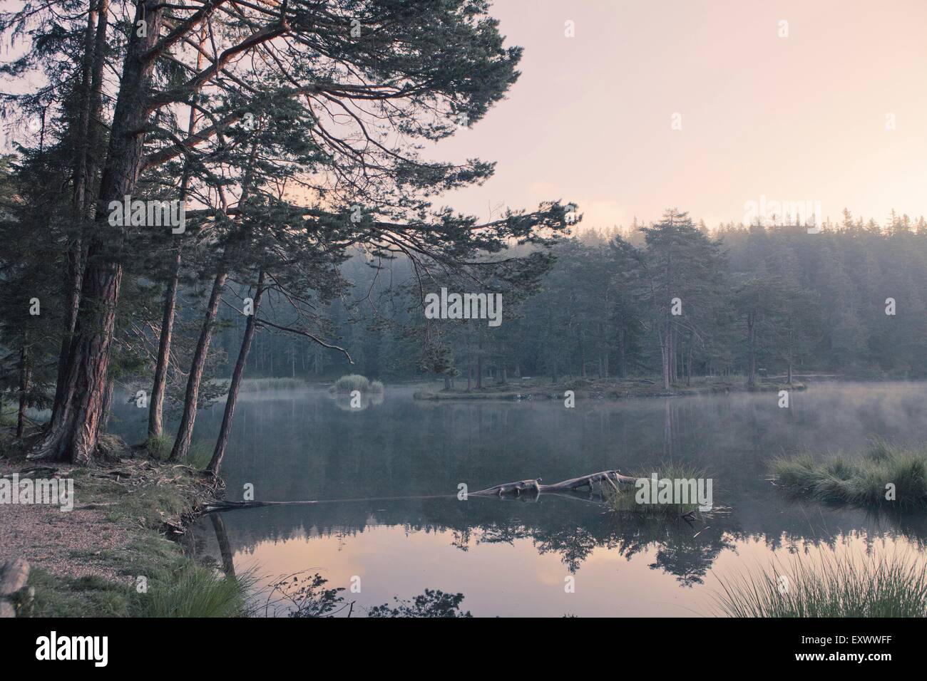 Vedere Moeserer, Tirolo, Austria, Europa Foto Stock