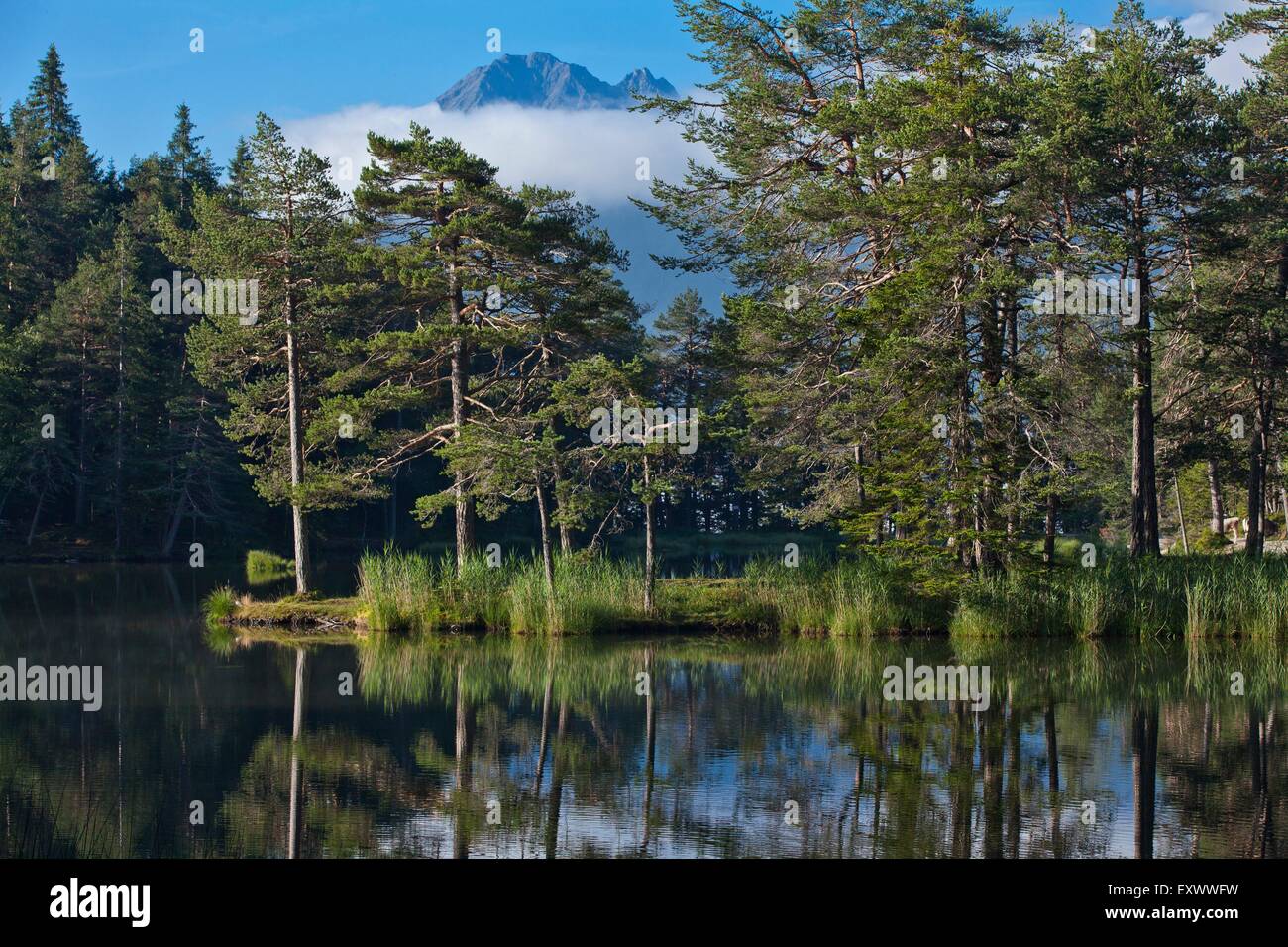 Vedere Moeserer, Tirolo, Austria, Europa Foto Stock
