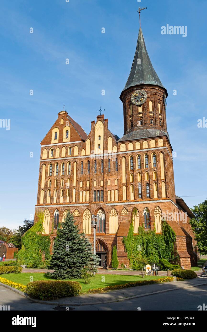 Koenigsberg cattedrale, Kaliningrad Oblast di Kaliningrad, Russia, Euroasia Foto Stock