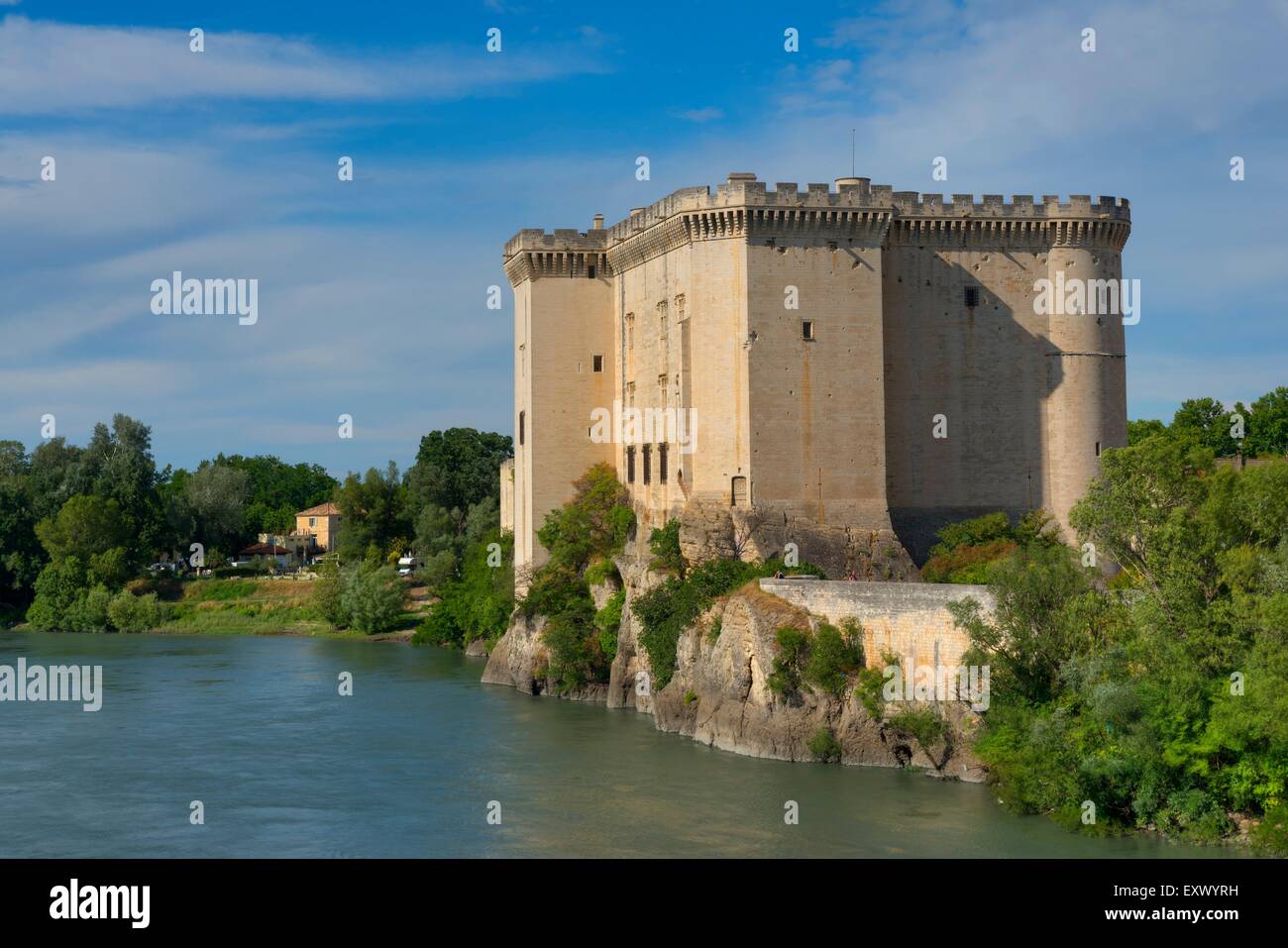 Castello e il Rodano, Tarascon, Bouches-du-Rhone, Provenza - Alpes-Cote d Azur, in Francia, in Europa Foto Stock