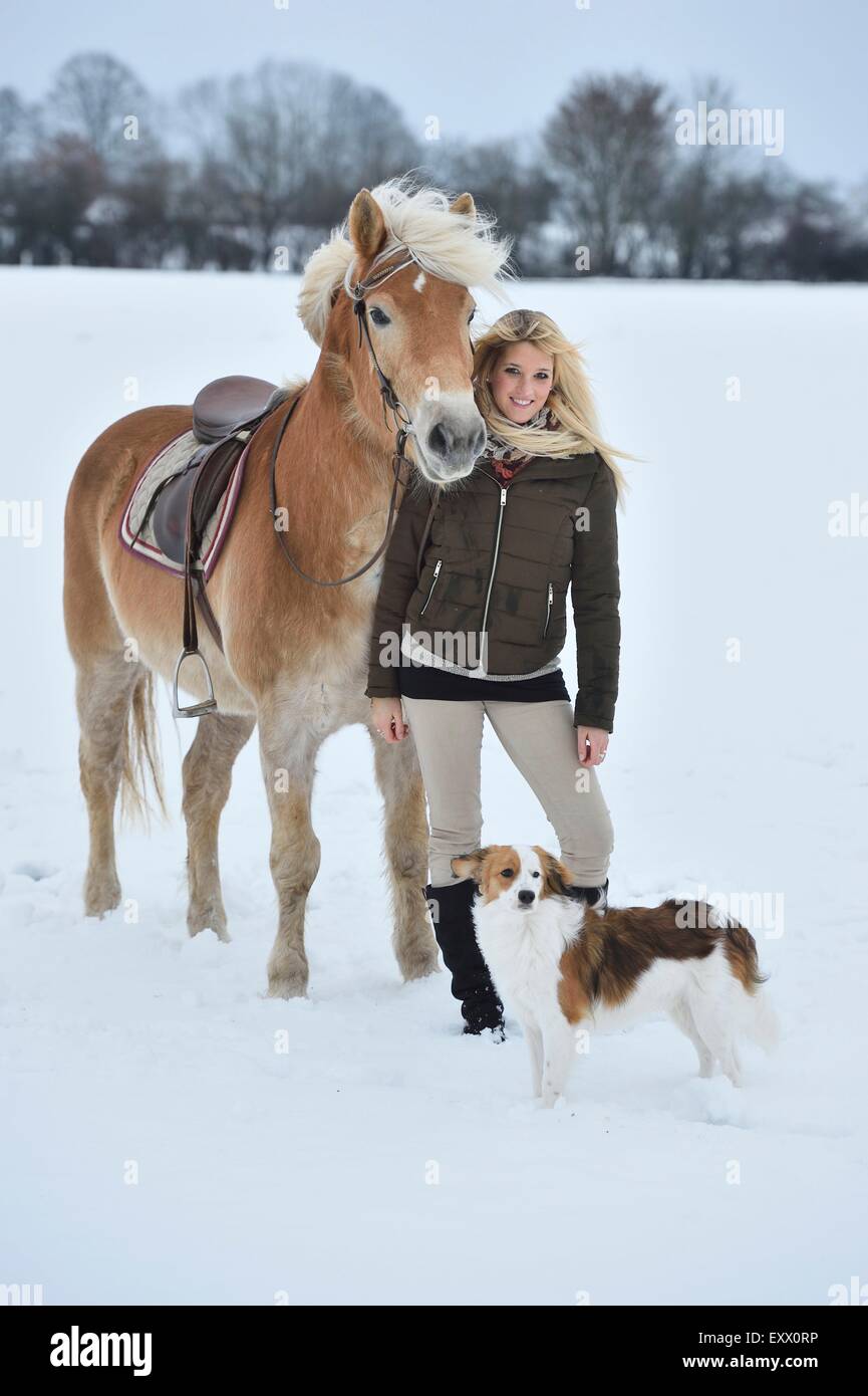 Giovane donna con cavalli di razza Haflinger nella neve Foto Stock