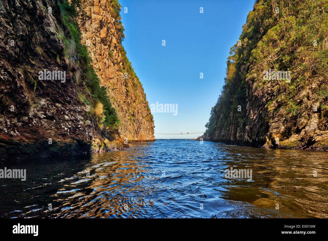 Sospensione ponte sul fiume tempeste, Repubblica del Sud Africa, Sud Africa e Africa Foto Stock