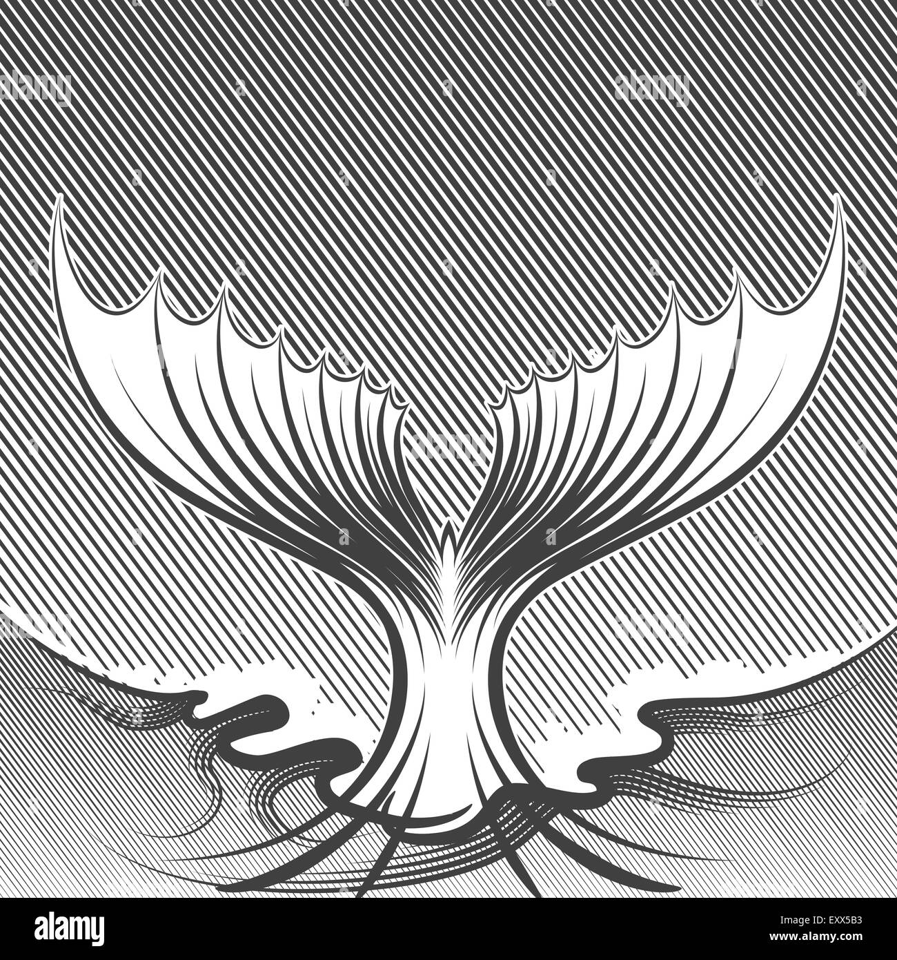 Coda di pesce illustrazione. Stile di incisione. Monocromatico su sfondo bianco. Illustrazione Vettoriale