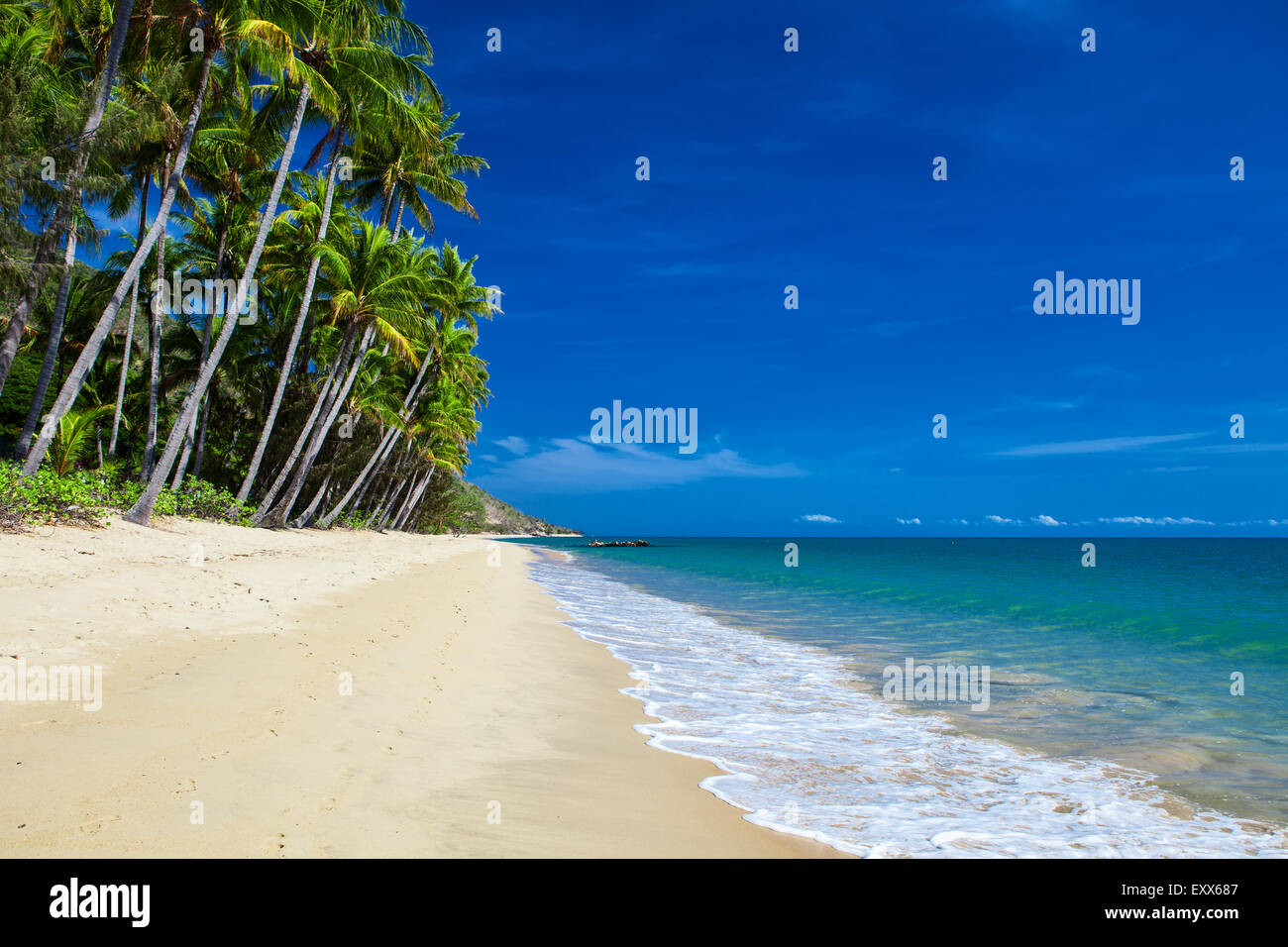 Deserta spiaggia tropicale con palme in North Queensland, Australia Foto Stock