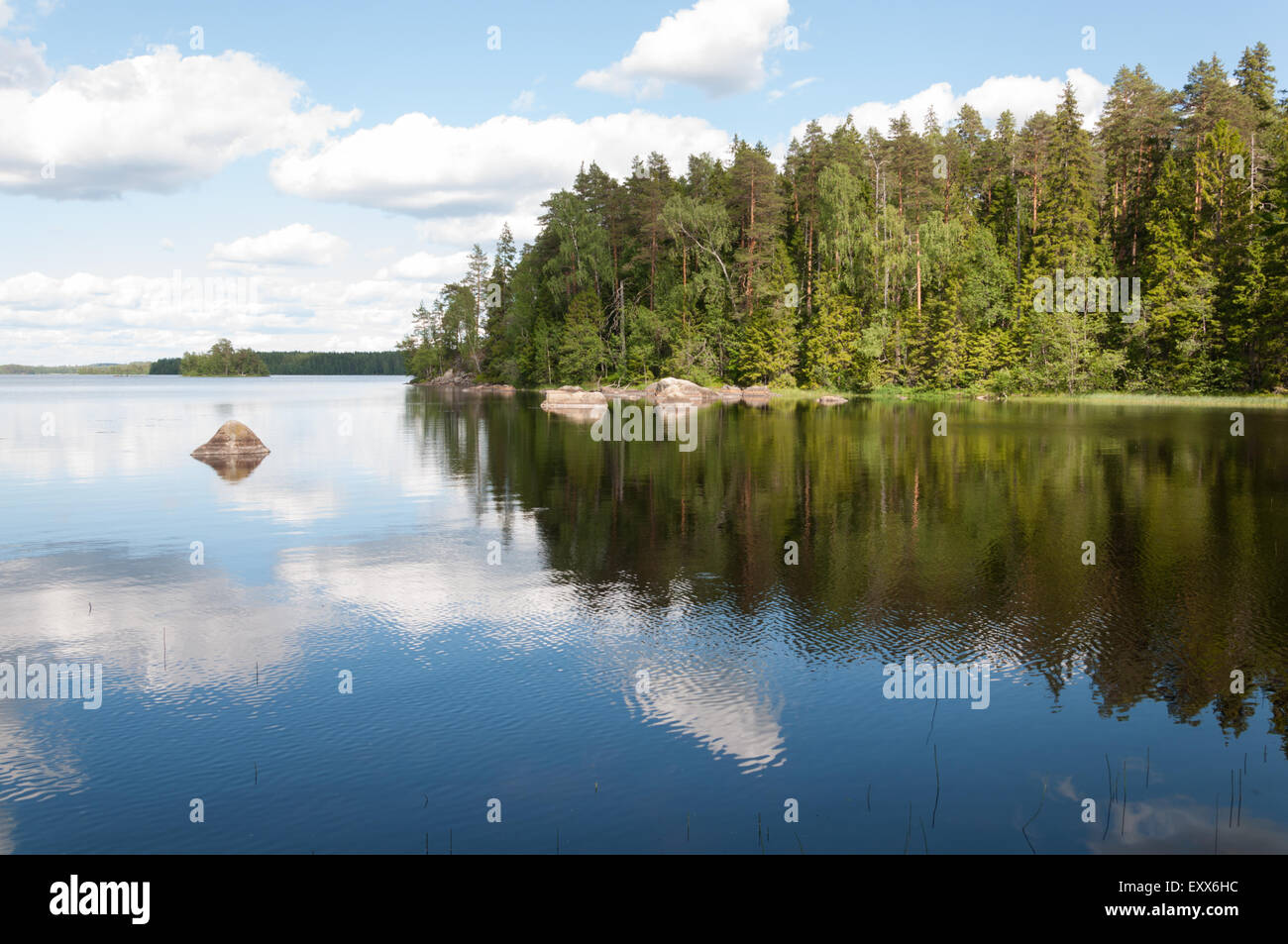 Una vista estiva del Lago Liesjäri in Finlandia Foto Stock