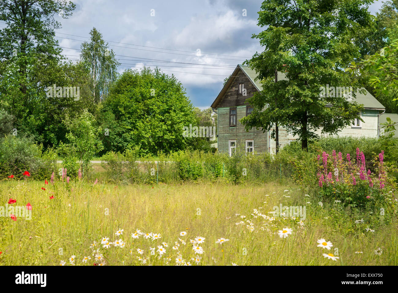 Ligo Midsummer melo boccole blu celebrazione camomilla nuvole nuvoloso cornflowers paese coronale daisy agriturismo ghirlanda di fiori Foto Stock