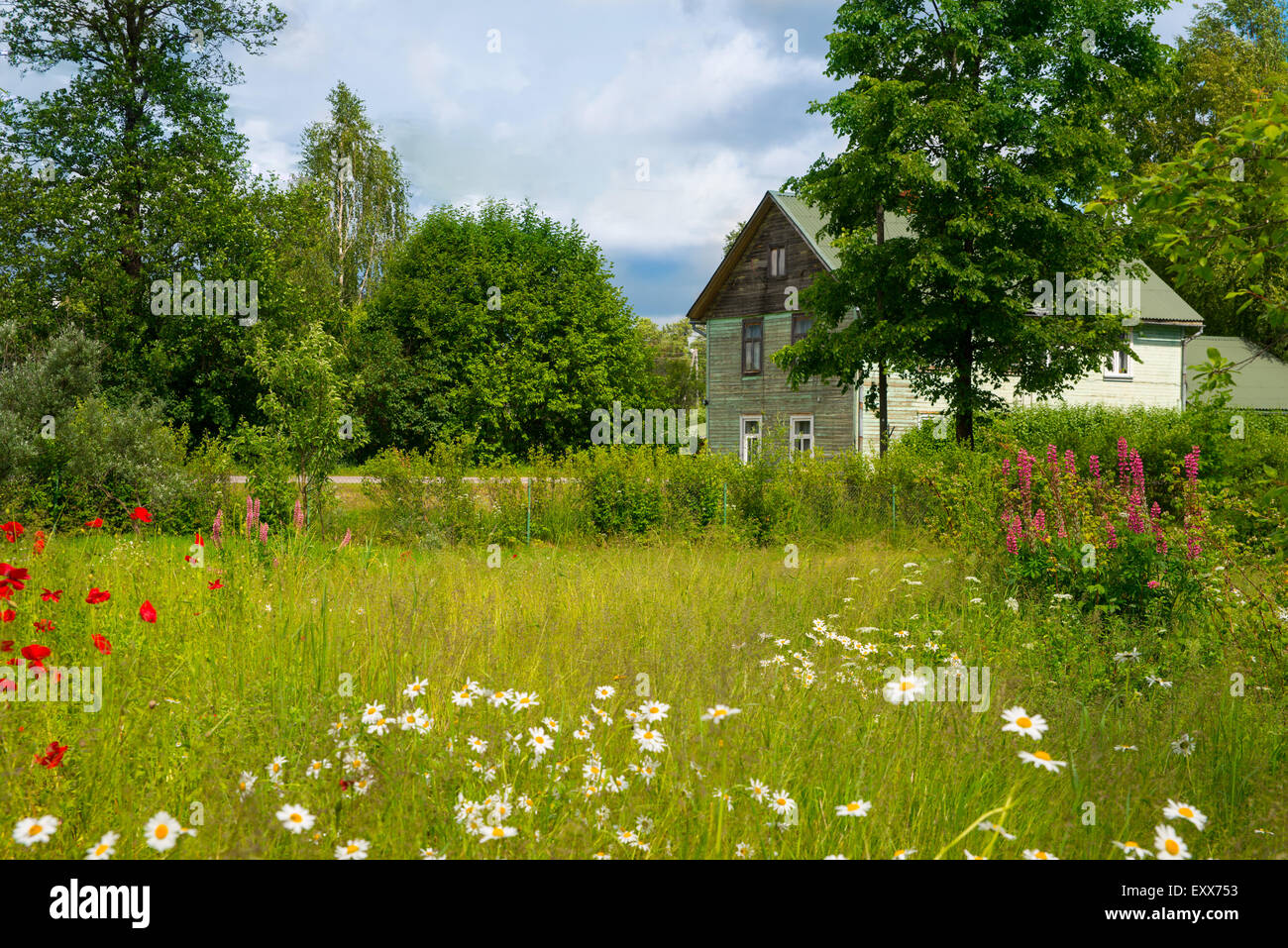 Ligo Midsummer melo boccole blu celebrazione camomilla nuvole nuvoloso cornflowers paese coronale daisy agriturismo ghirlanda di fiori Foto Stock