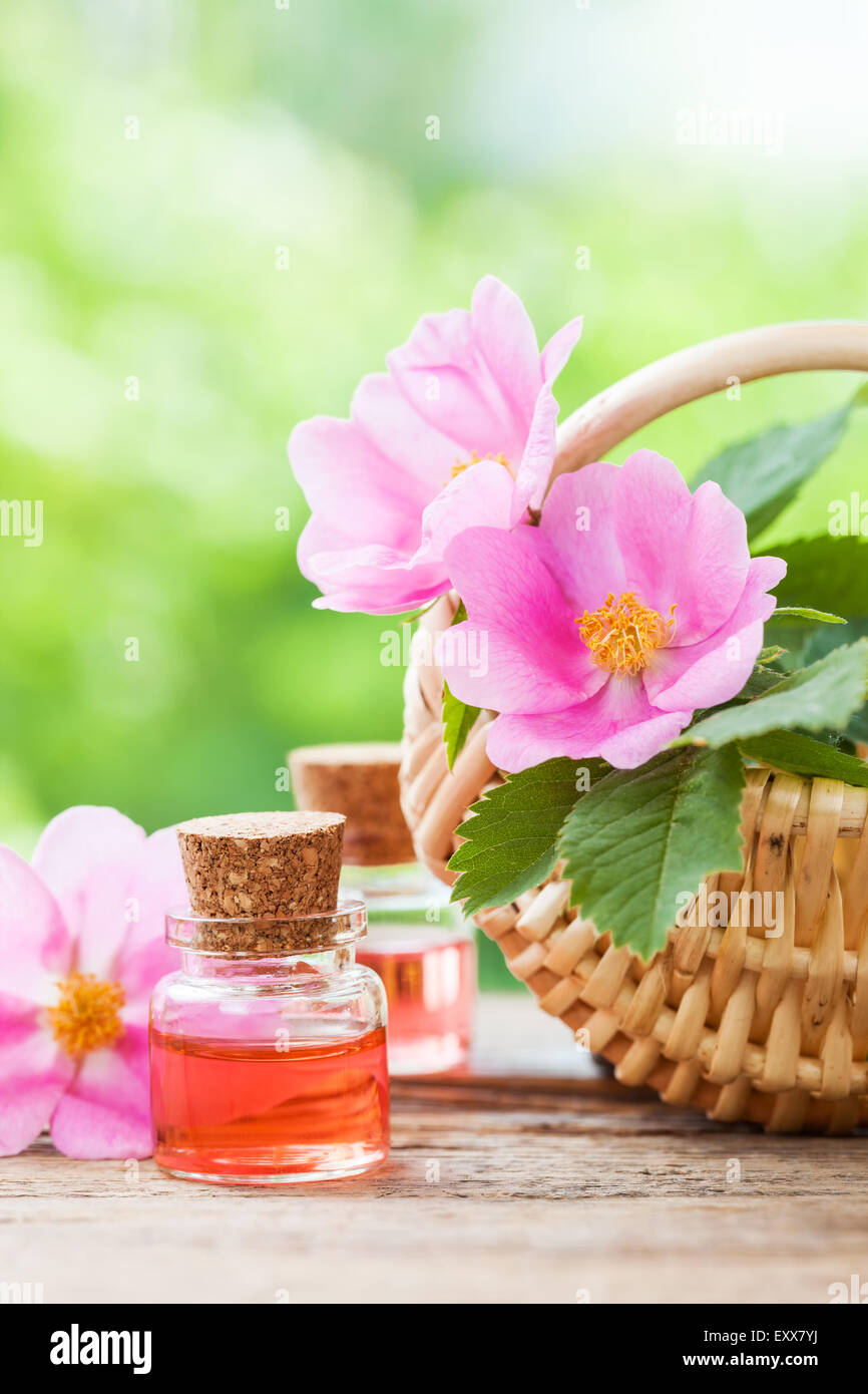 Rustico cesto in vimini con rose hip fiori e bottiglie di olio essenziale sul vecchio tavolo in legno. Foto Stock