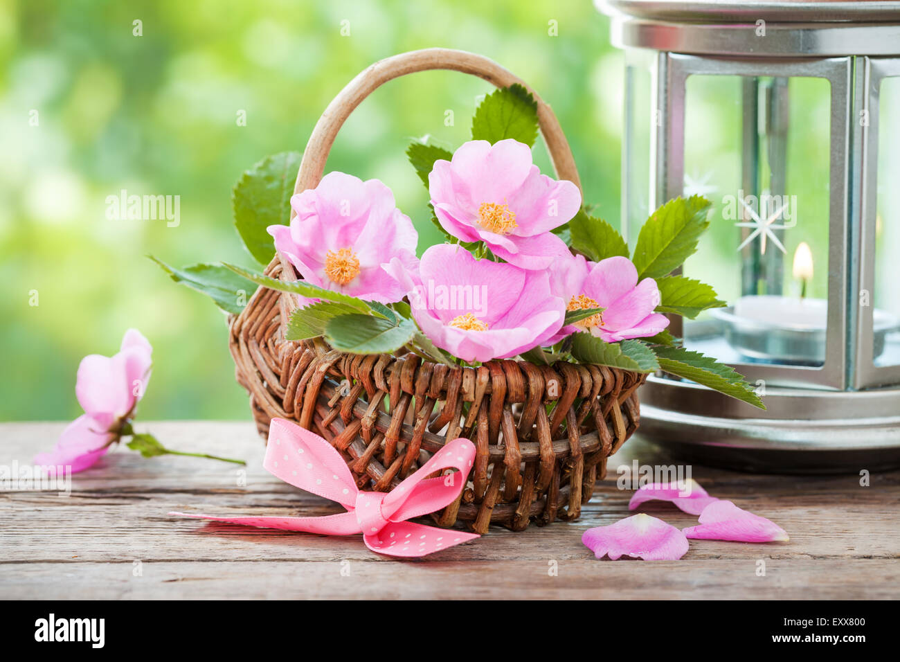 Cestino con rose selvatiche fiori e lampada vintage con bollitore. Foto Stock