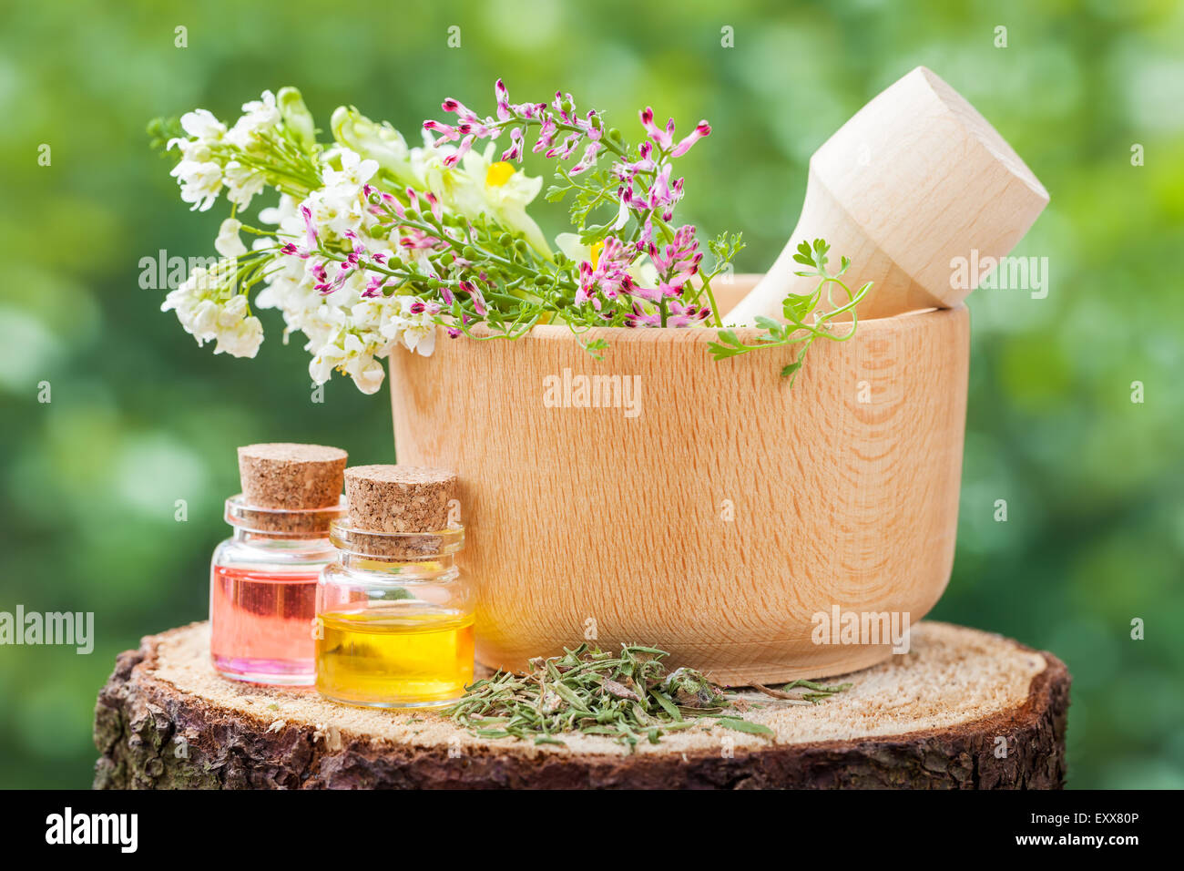 Mortaio rustico con erbe curative e bottiglie con olio essenziale sul moncone in legno all'esterno. Foto Stock