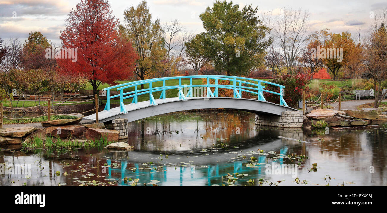 Una scena pastorale di un piede giapponese ponte su un tranquillo laghetto in un giorno di pioggia in autunno, Southwestern Ohio, Stati Uniti d'America Foto Stock