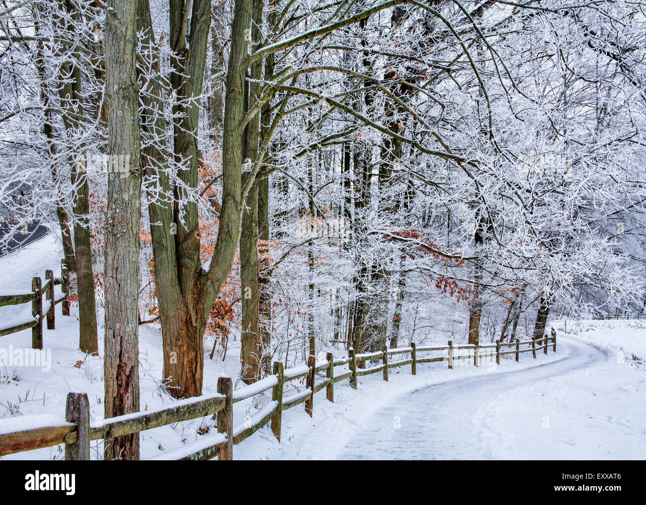 Una scena pastorale della coperta di neve recinzioni, alberi e percorsi a piedi a Sharon boschi nel sud-ovest Ohio, Stati Uniti d'America Foto Stock