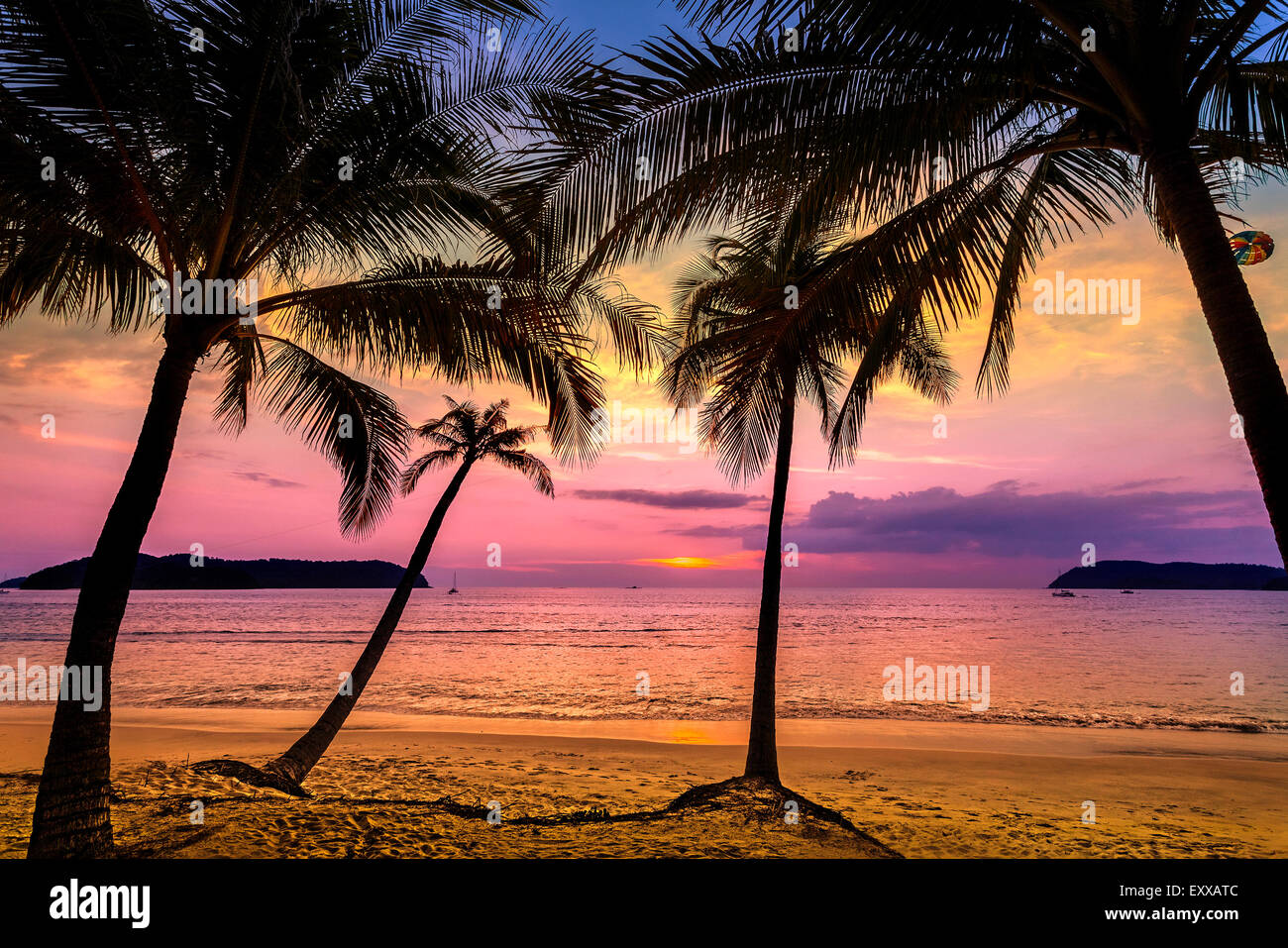 Viola tramonto sulla spiaggia, vacanze estive dello sfondo. Foto Stock