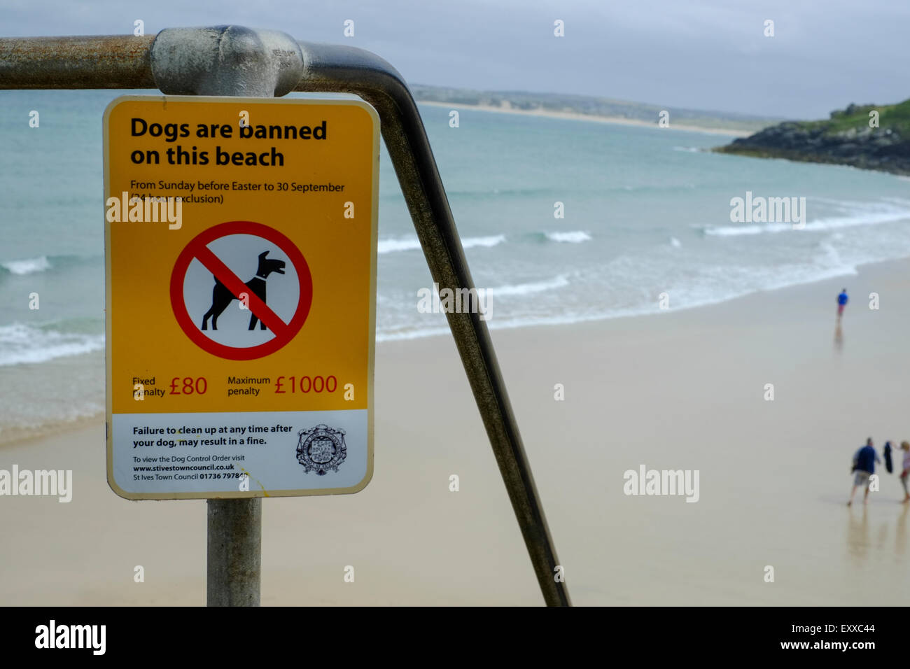 St Ives, Cornwall, Regno Unito: i cani sono vietati su questa spiaggia segno. Spiaggia di Porthminster. Foto Stock